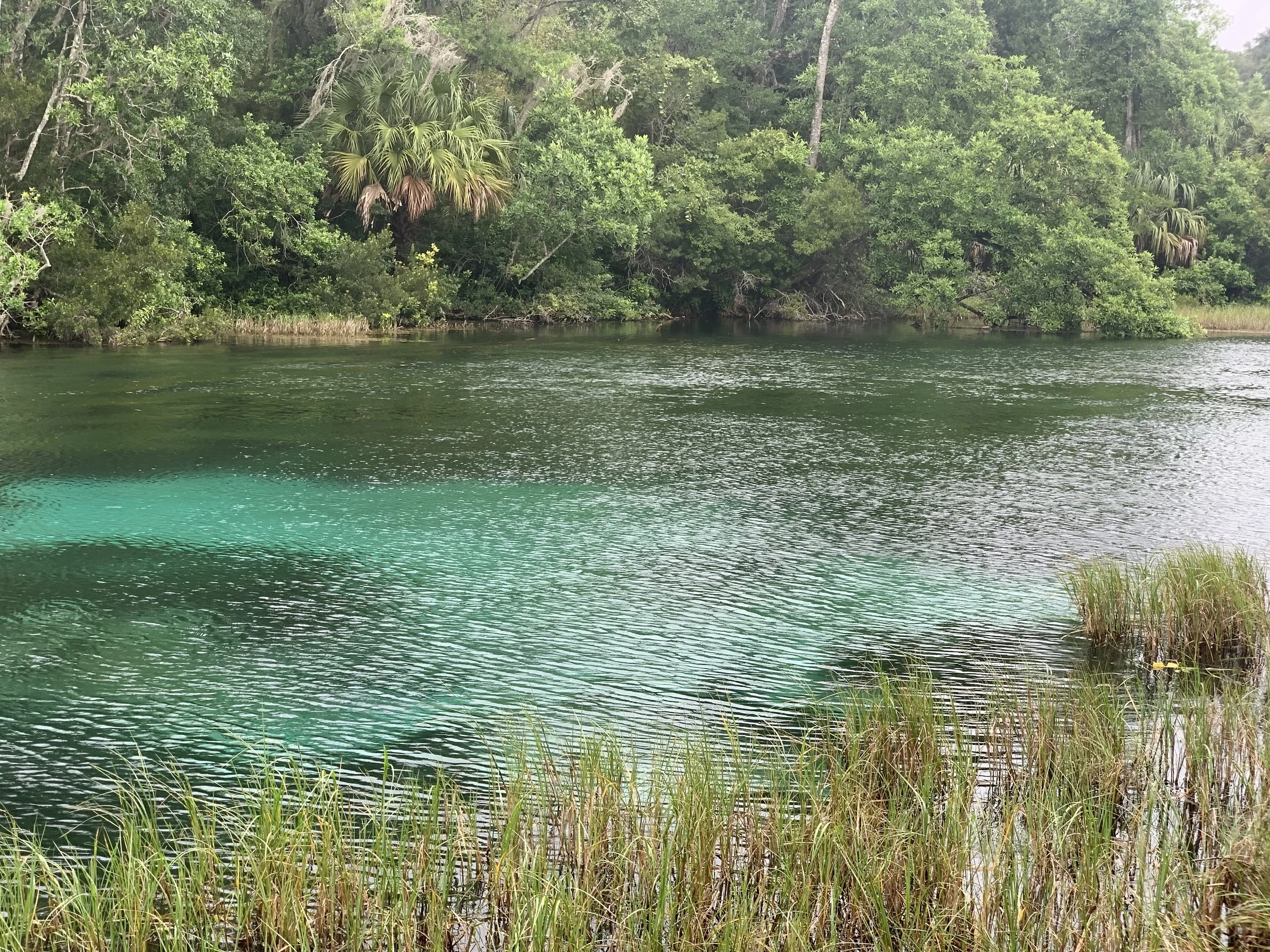 Negative Ions Create Positive Vibes