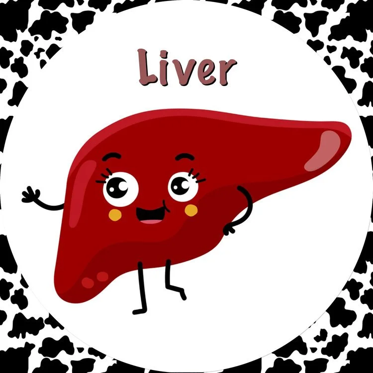 Liver Detoxification Article 2