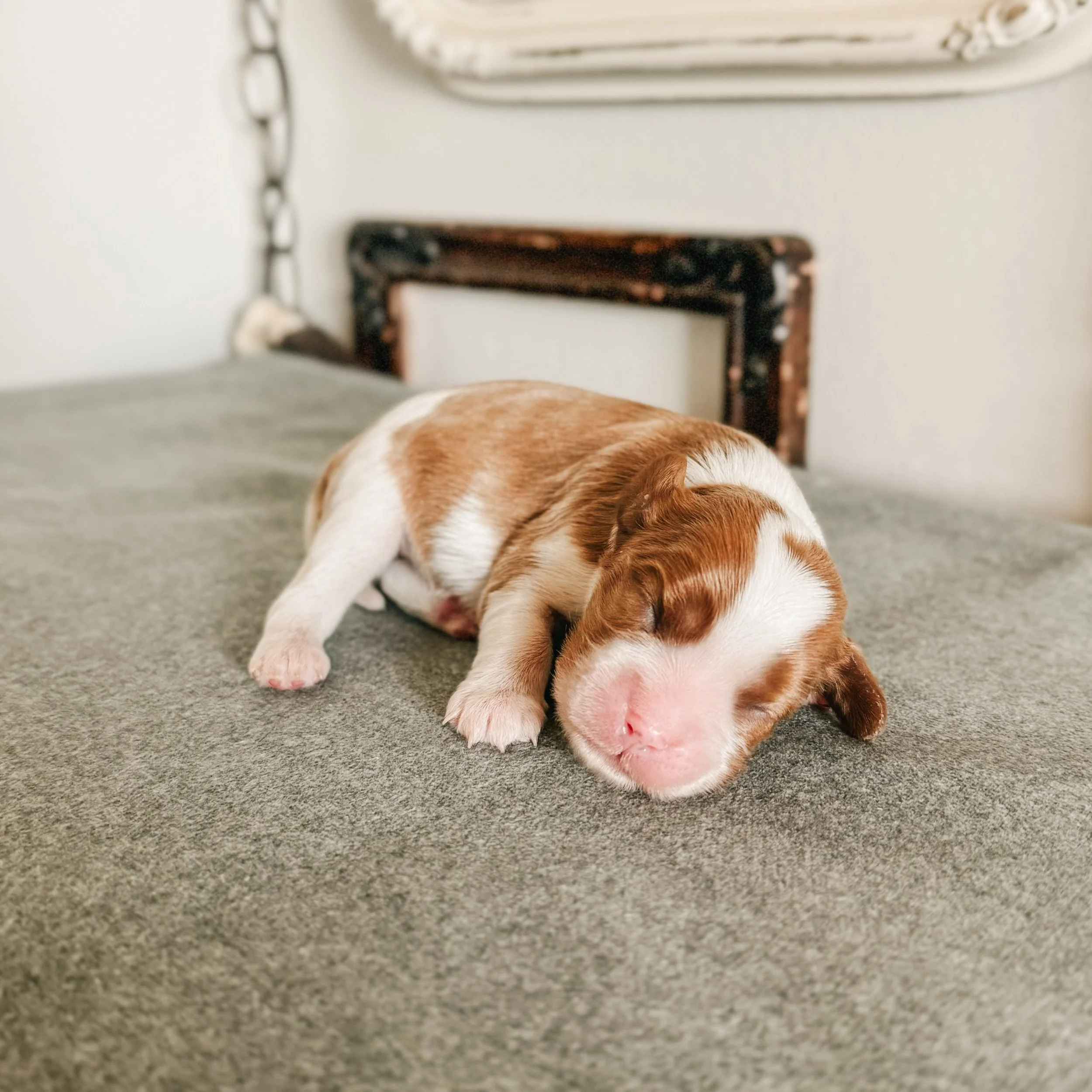 Jane 1 week old