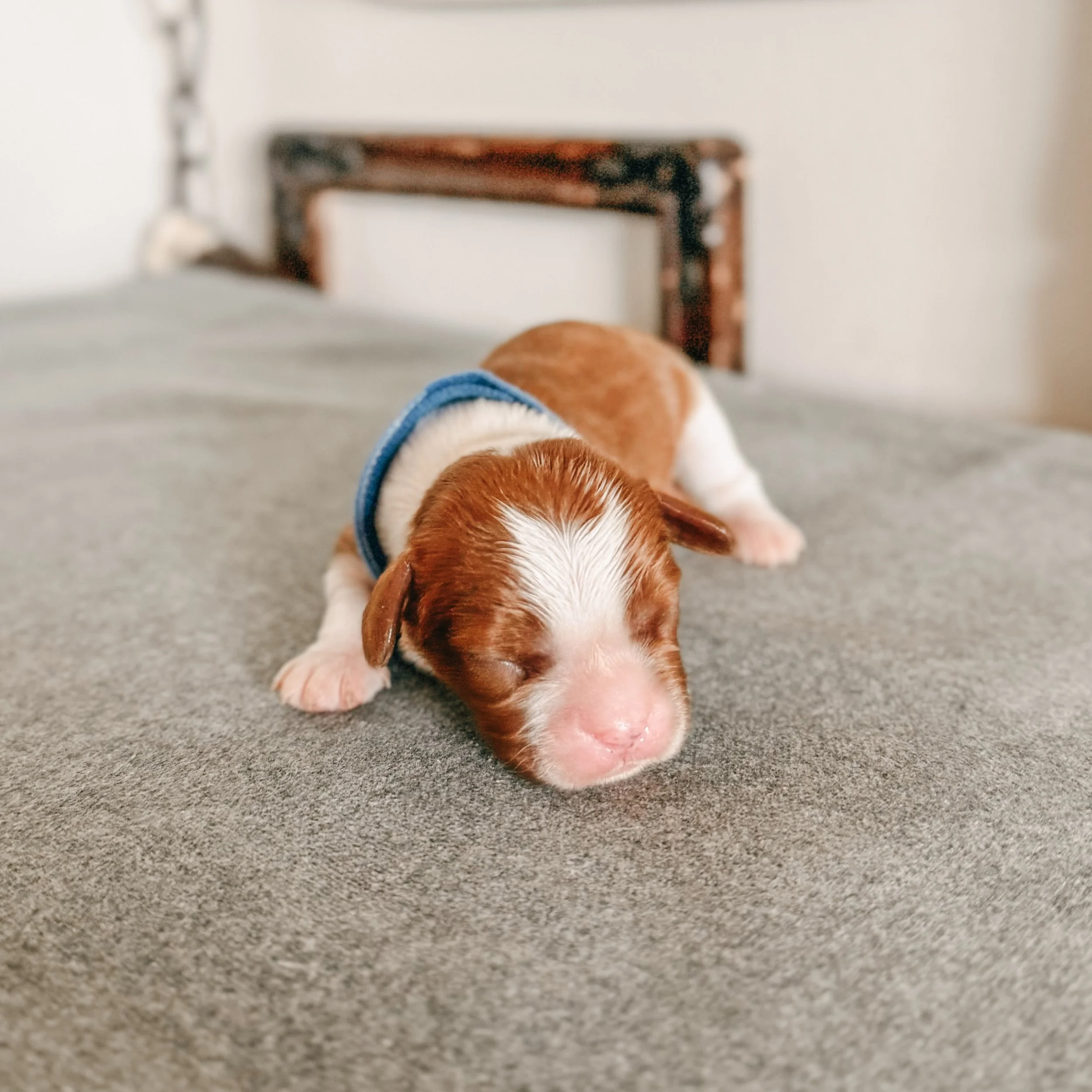George 1 week old