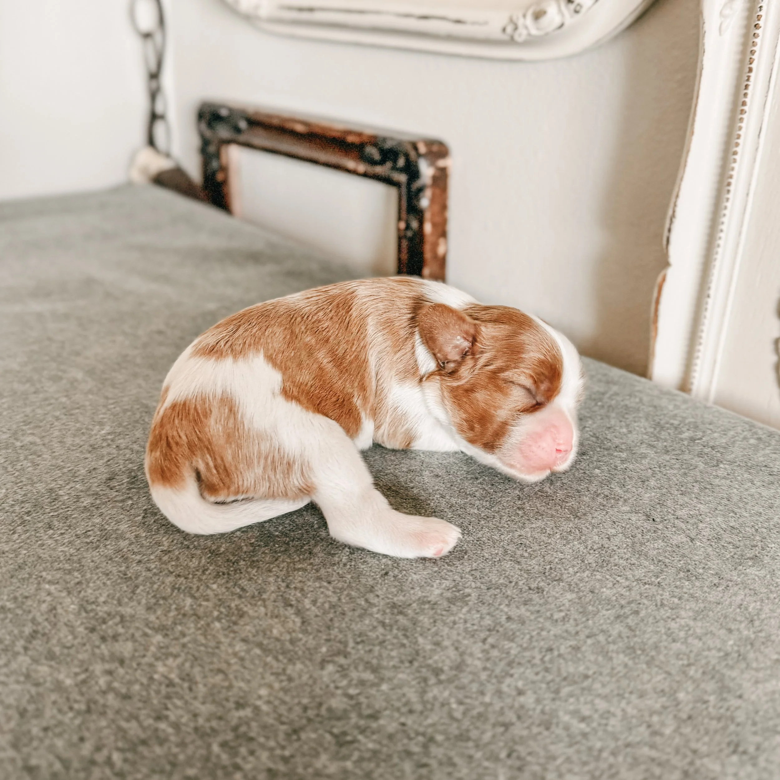 Jane 1 week old