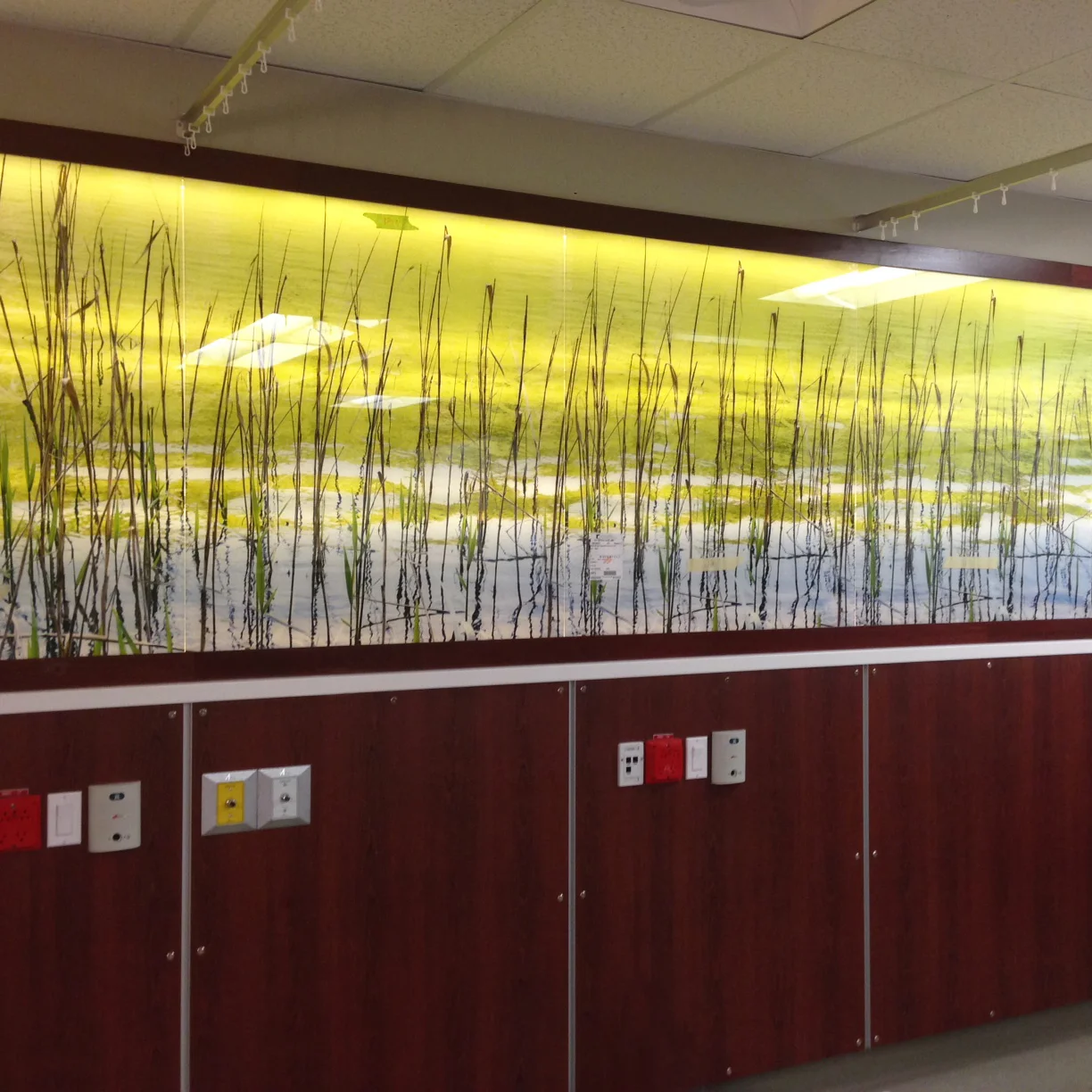 SF Image + Light Project: RCH Ambulatory Care Space Client: Royal Columbia Hospital 