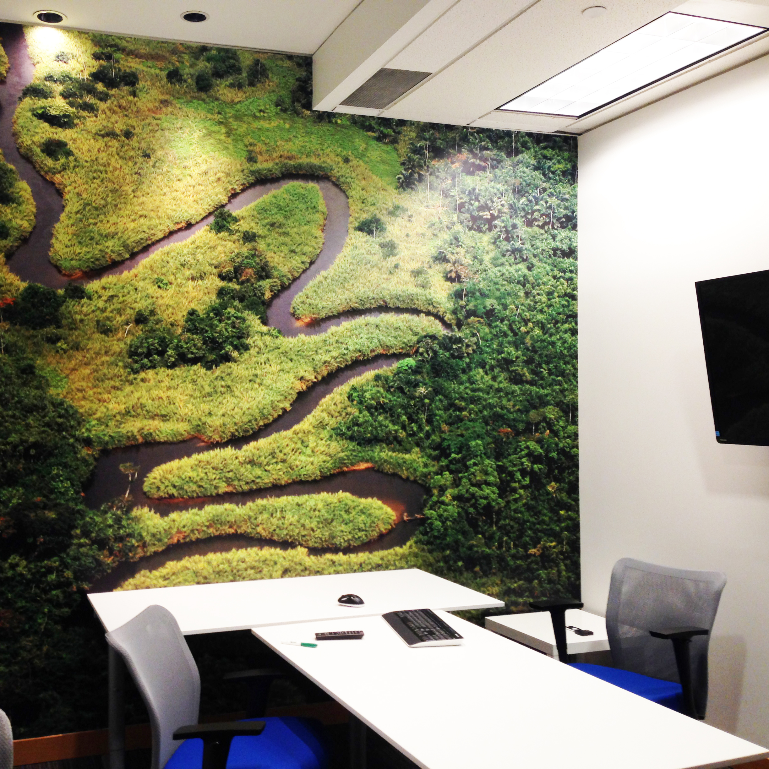 SF Wallgraphix + Project: Aquatic Informatic Corporate / Wall Mural Custom Print