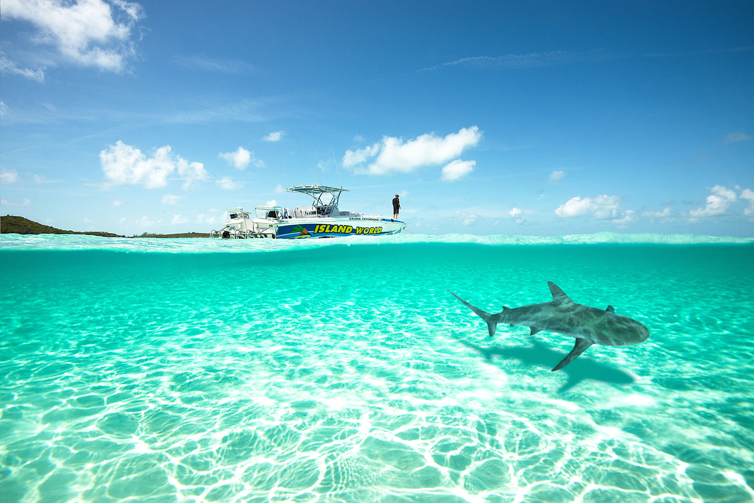 BahamasBoatShark.jpg