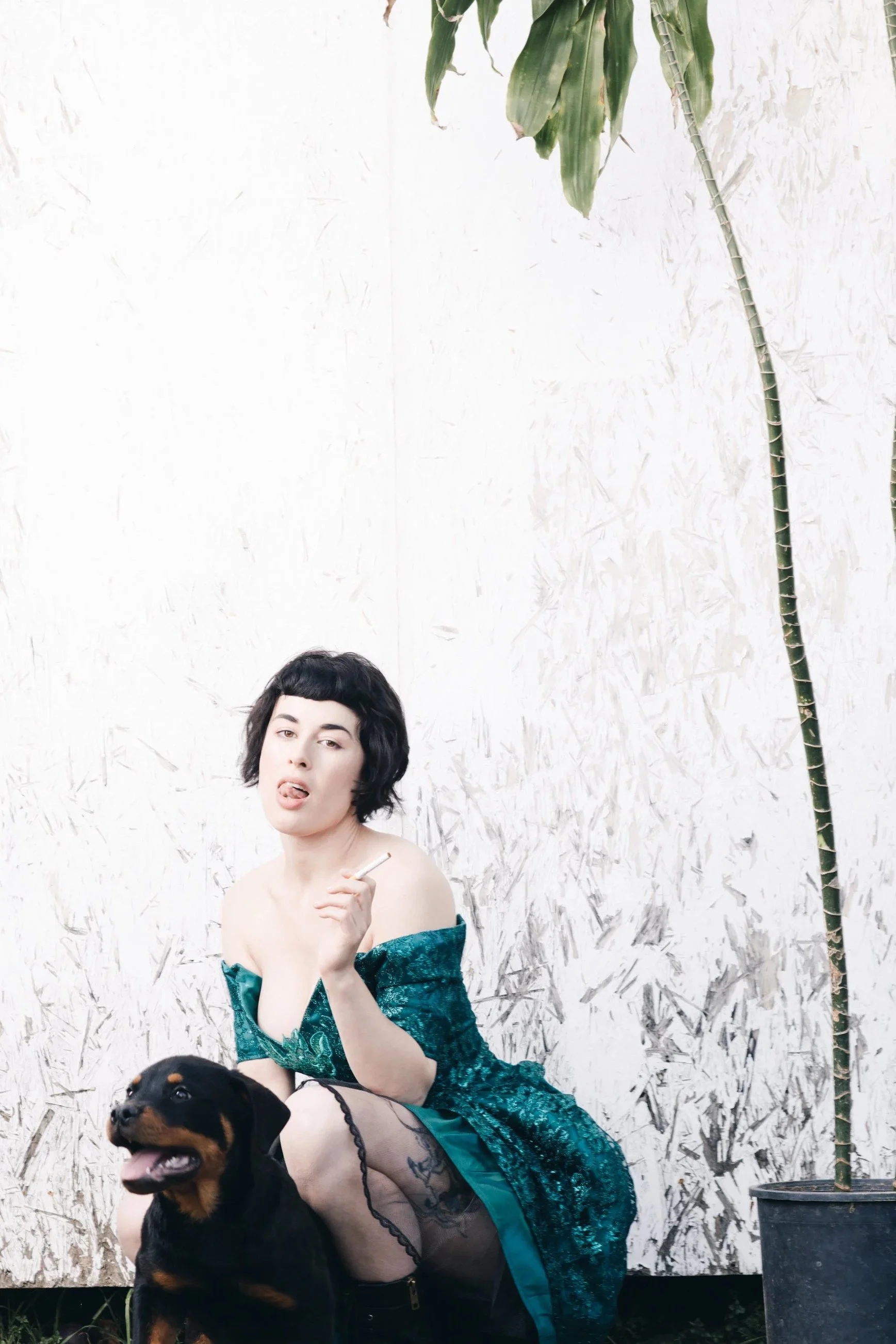 Olive_Glass_Feb_16_2018_094.jpg