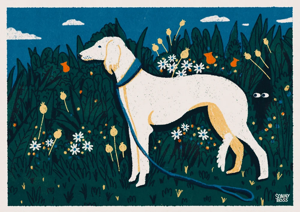 Dog Watching.jpg