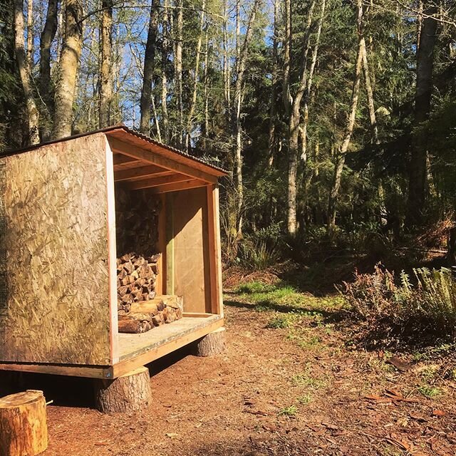 Spring project home quarantine edition: built a little woodshed in our forest with scrap lumber and now filling it up with windfall firewood. #beatsthegym