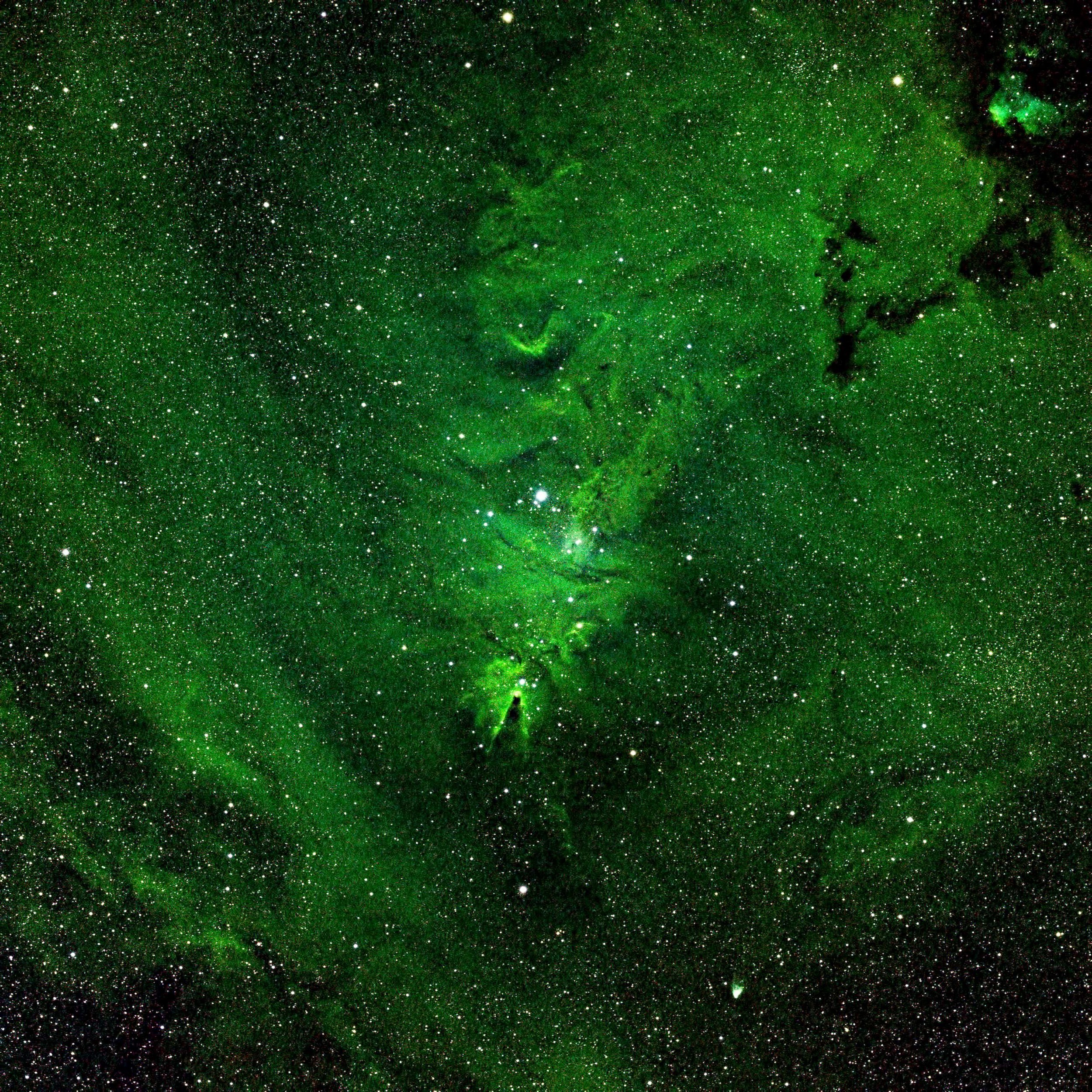 NGC2264 Widefield Hubble palate