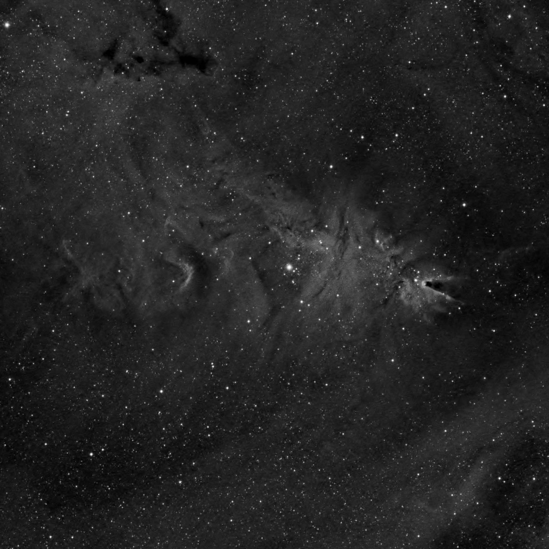 NGC2264 Ha