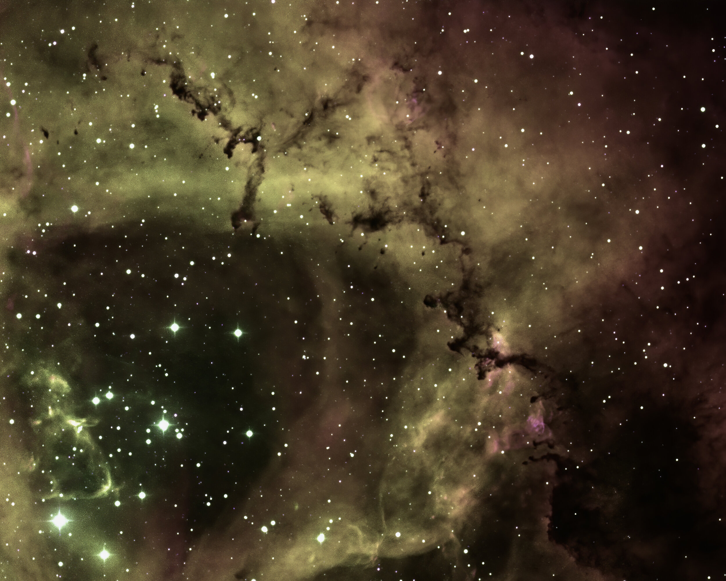 Rosette Nebula