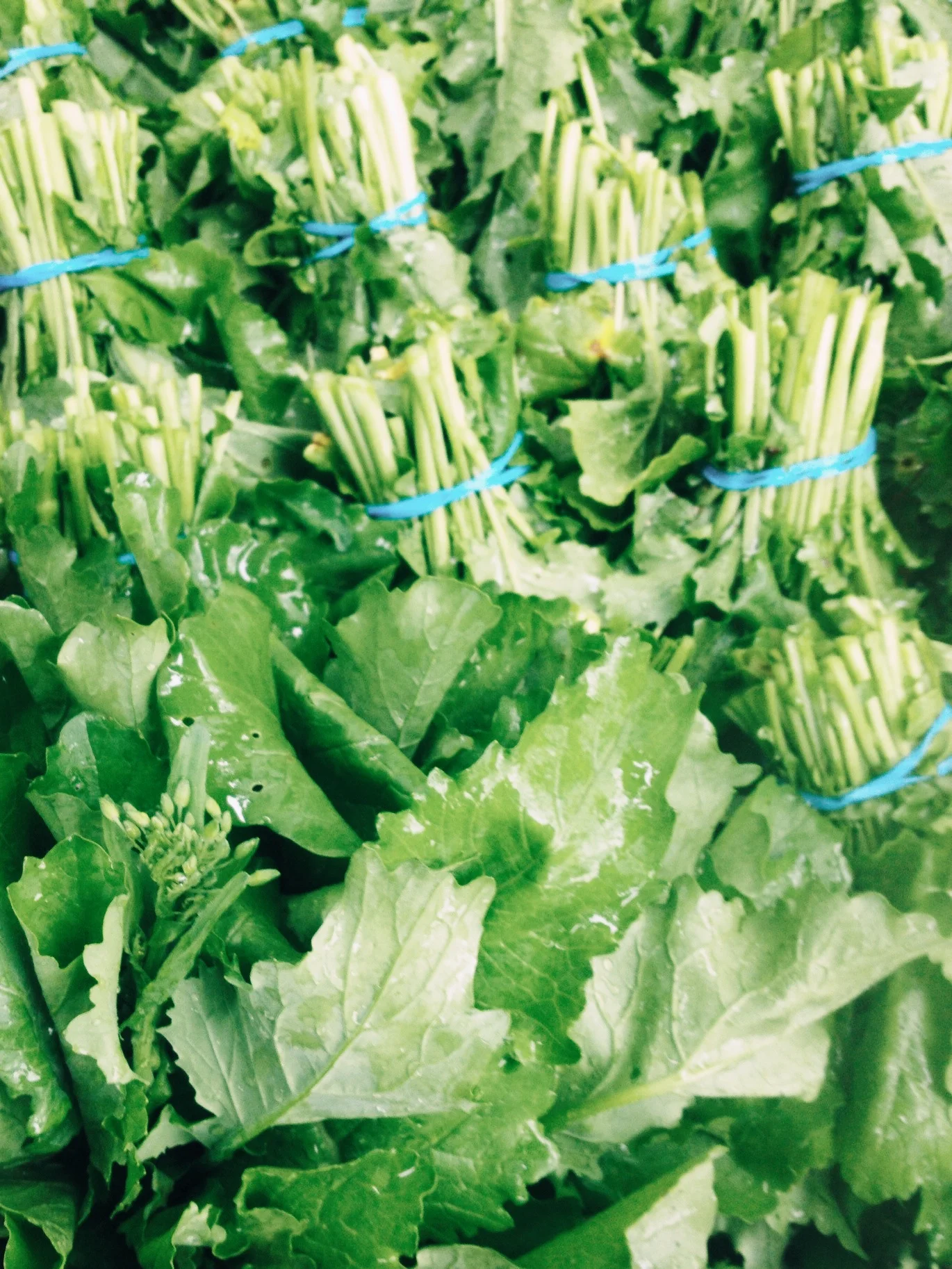 Broccoli raab