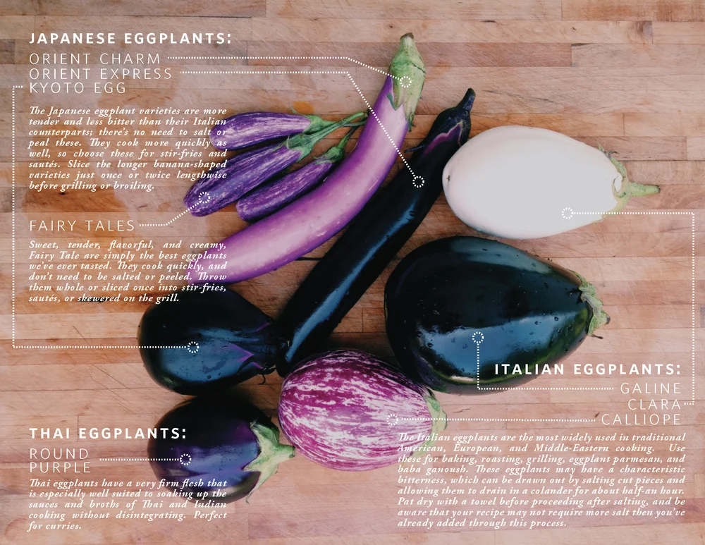 Easy Ways to Make Eggplant Less Bitter 2023 AtOnce