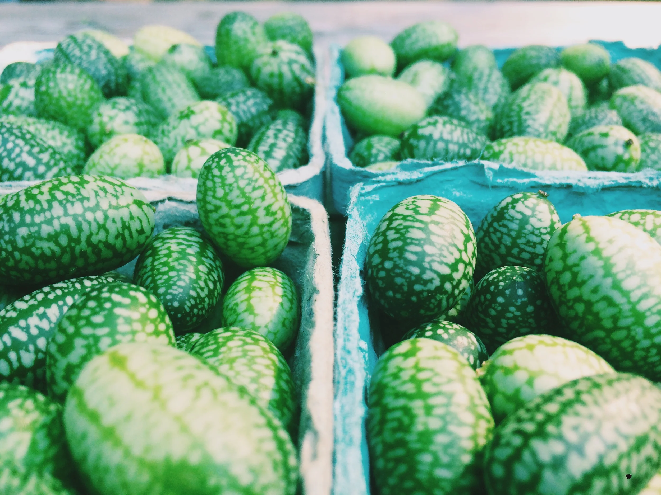 Mexican sour gherkins, the surprise hit of 2015!