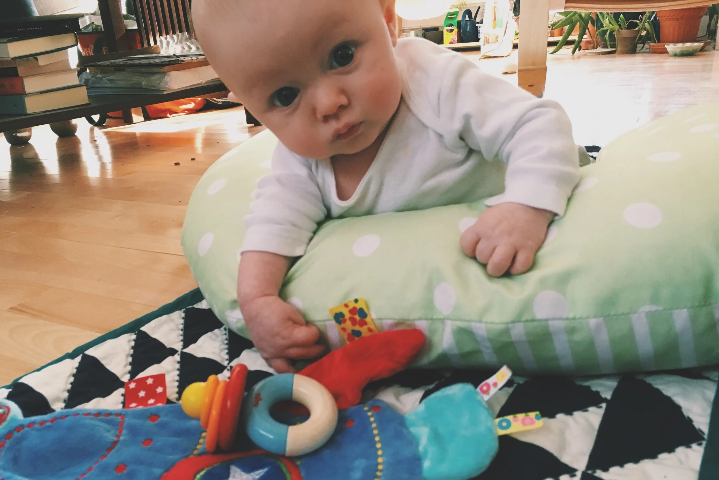 Turning three months old is hard work.