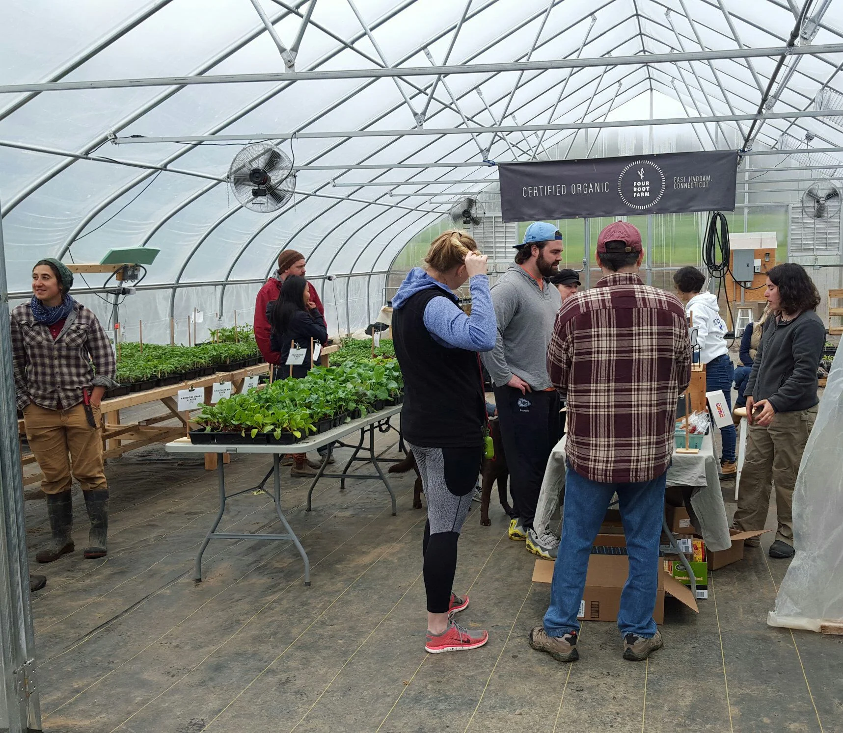 Last weekend's plant sale. Join us this Sunday for another round of delicious pizza and plenty of seedlings for your garden!