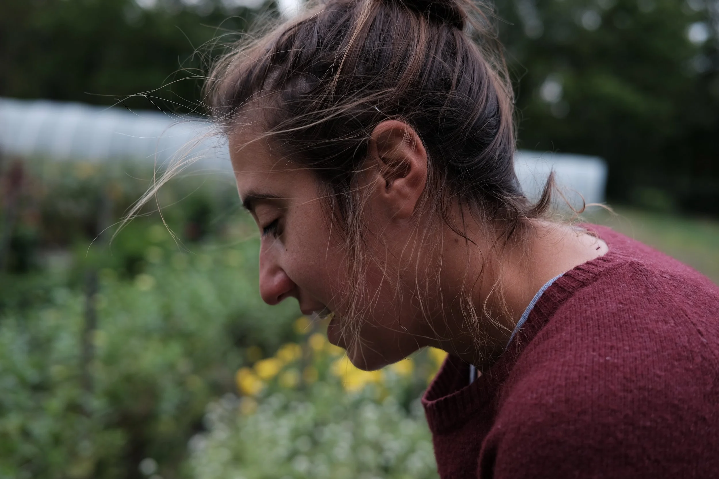 Photo by Laura Morris