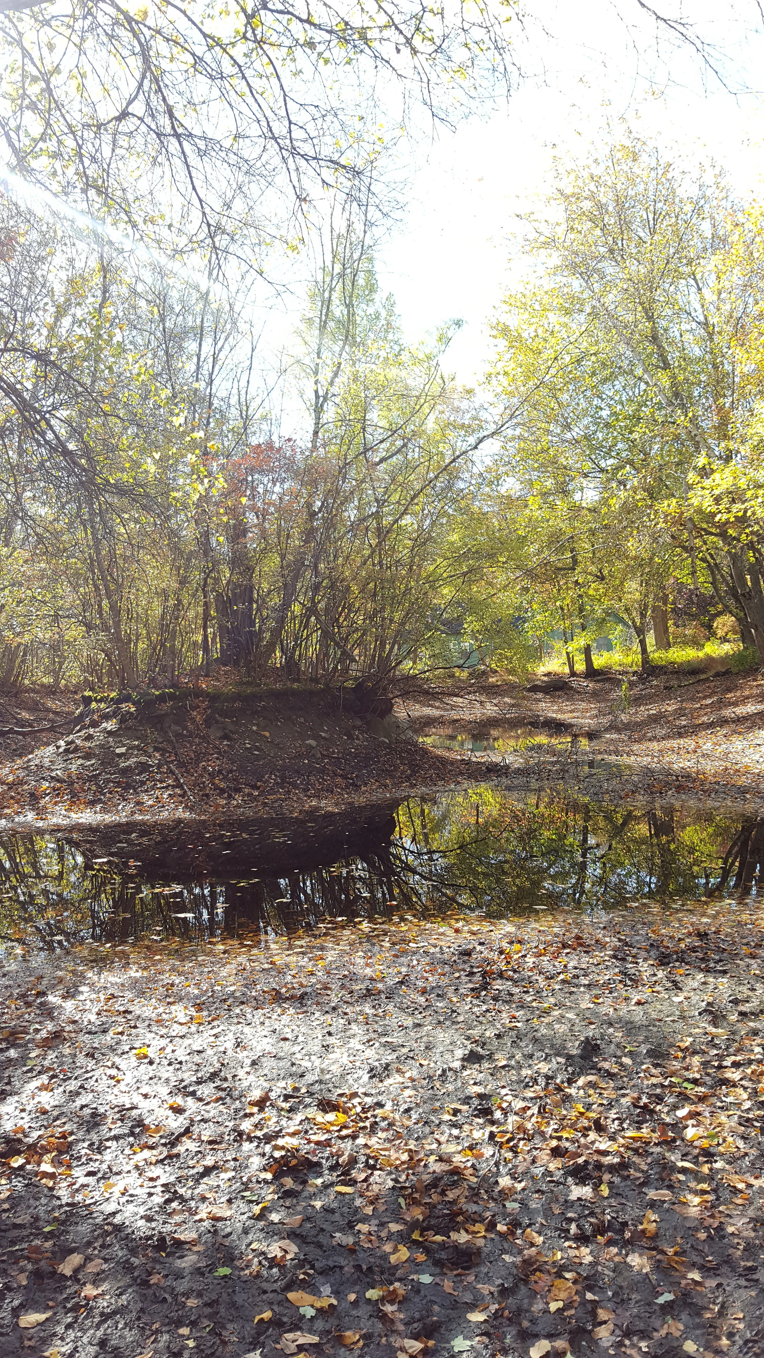 20161024_103253.jpg