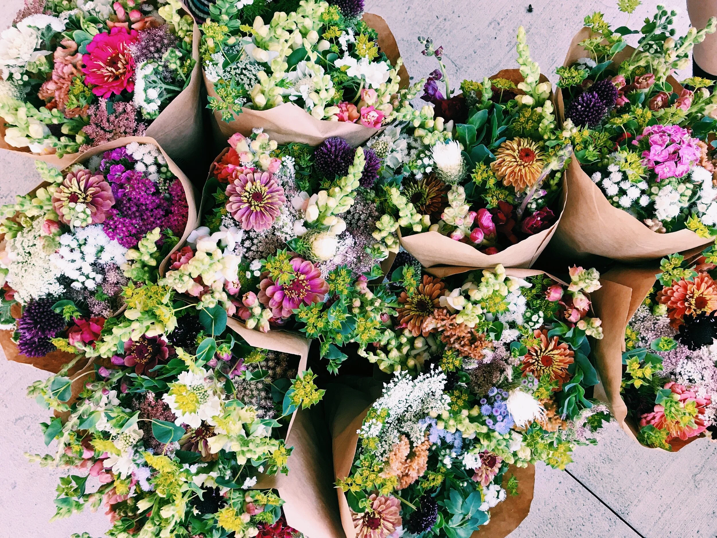 Summer Share 2 Share .jpg