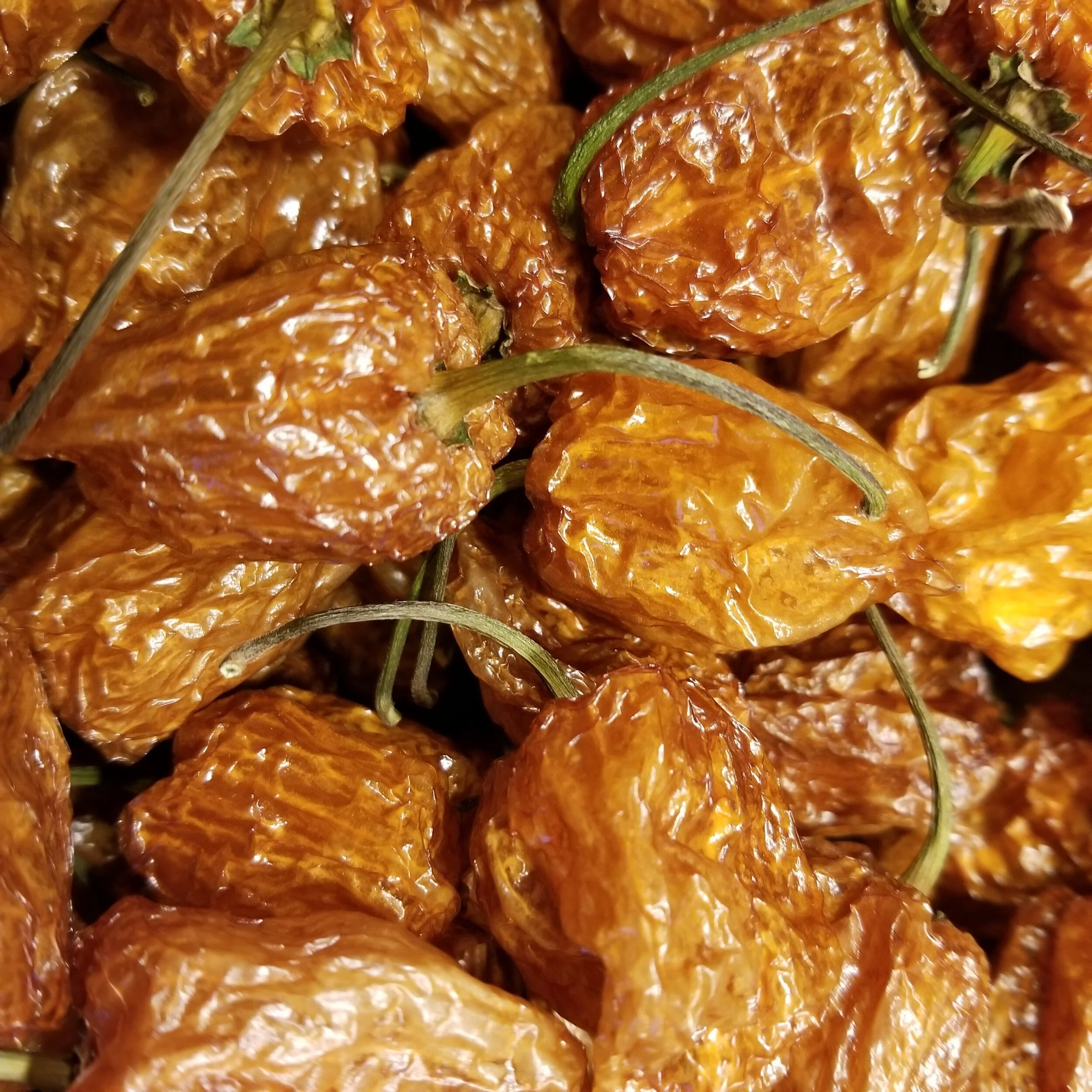 Habanero.jpg