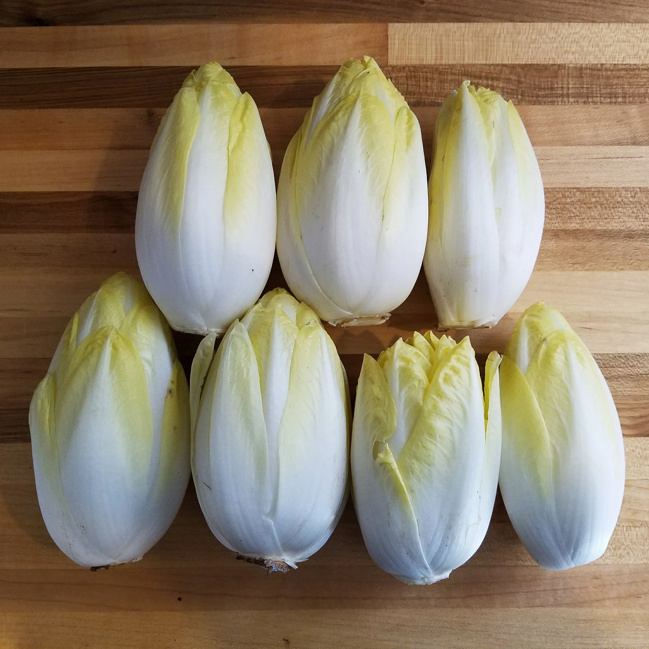 Belgian Endive.jpg