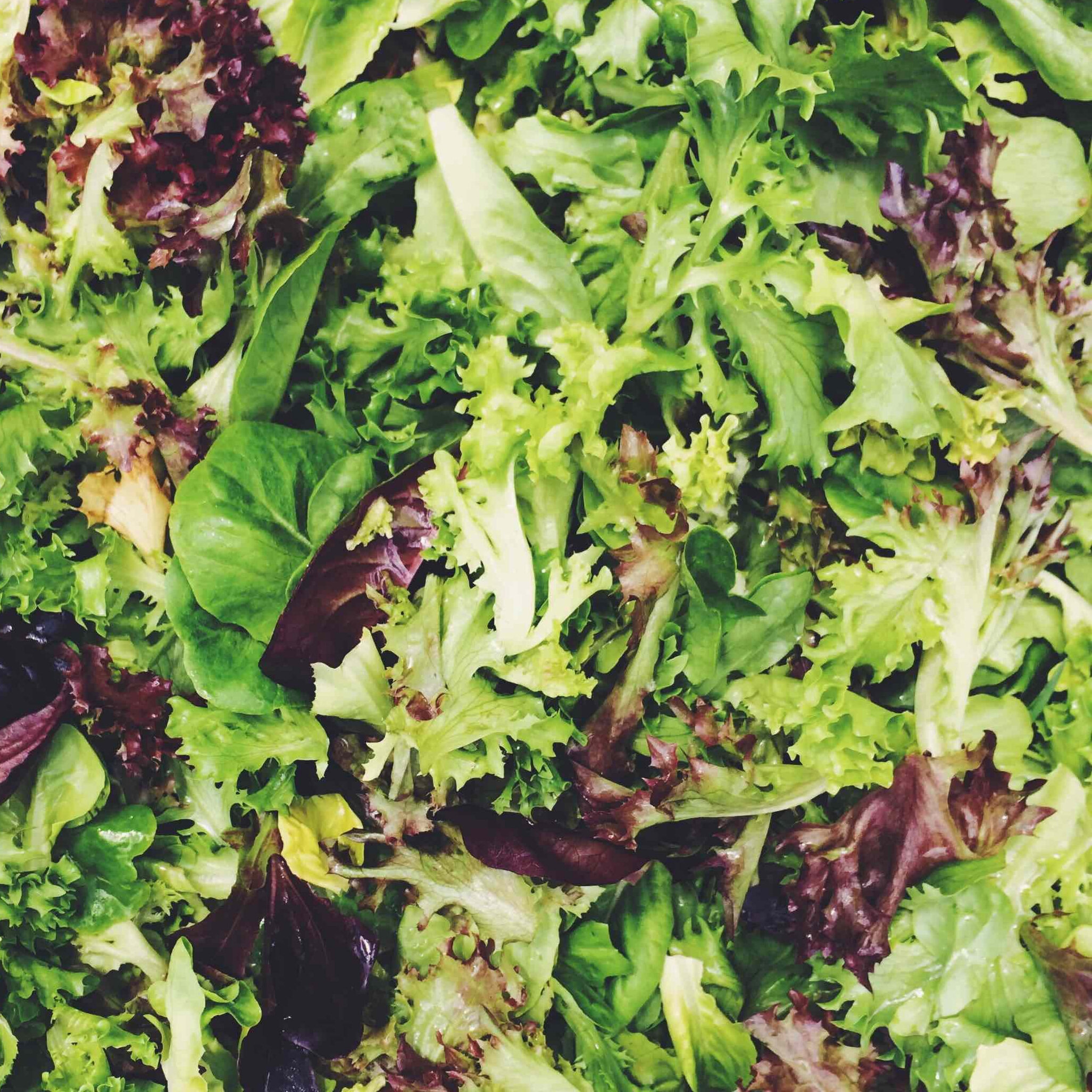 Lettuce+Mix.jpg