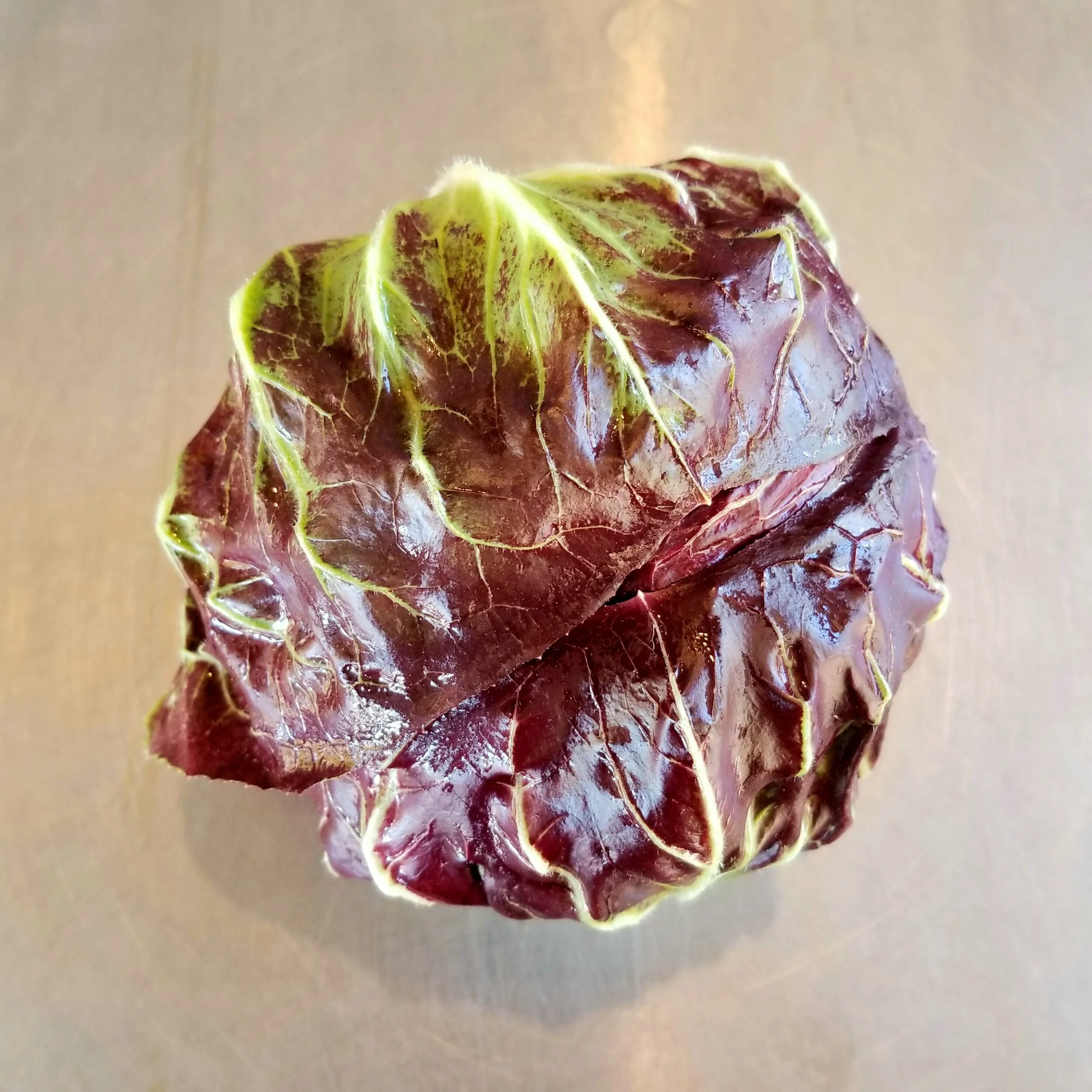 Radicchio 4.jpg