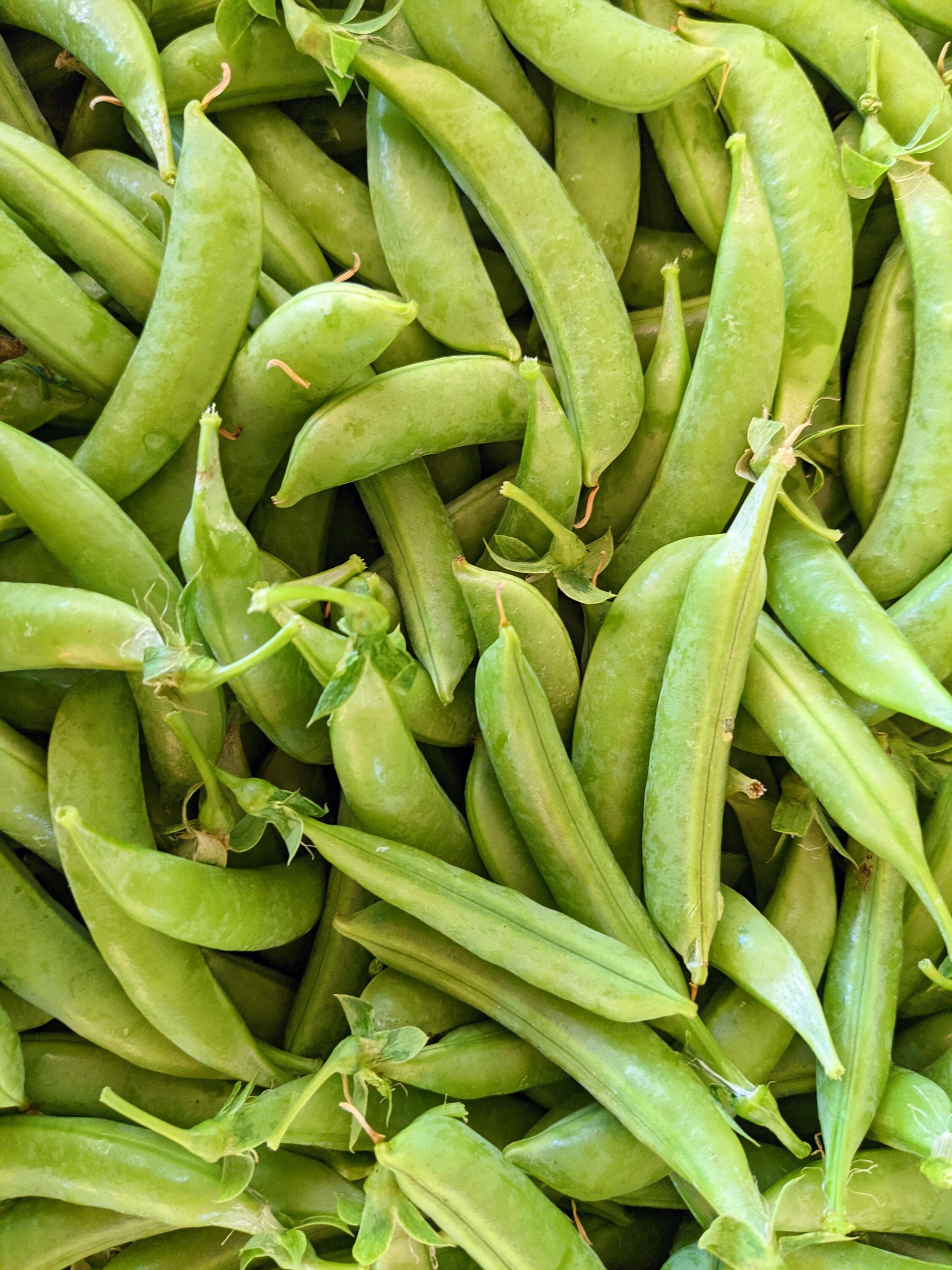 Peas.jpg
