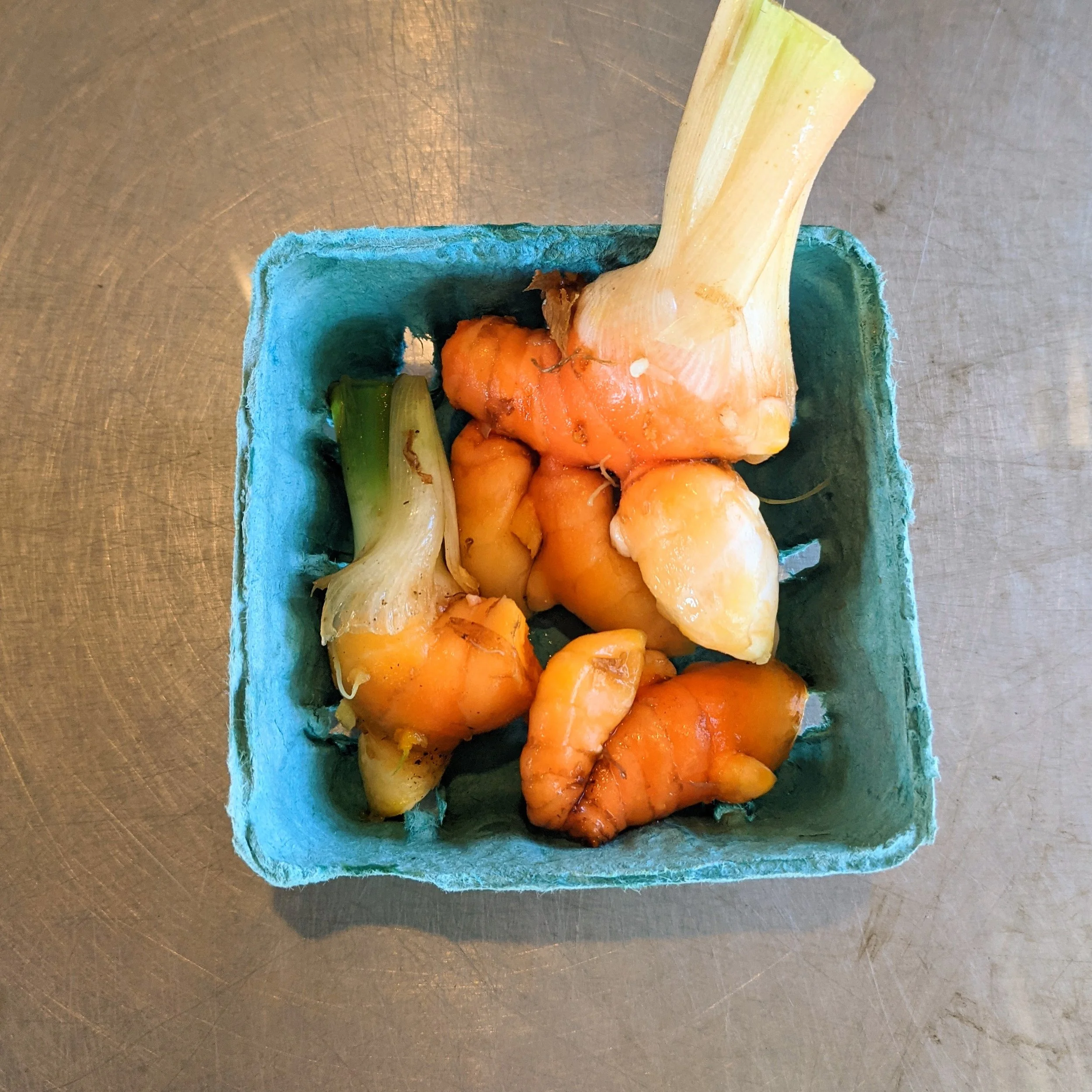 Turmeric2.jpg