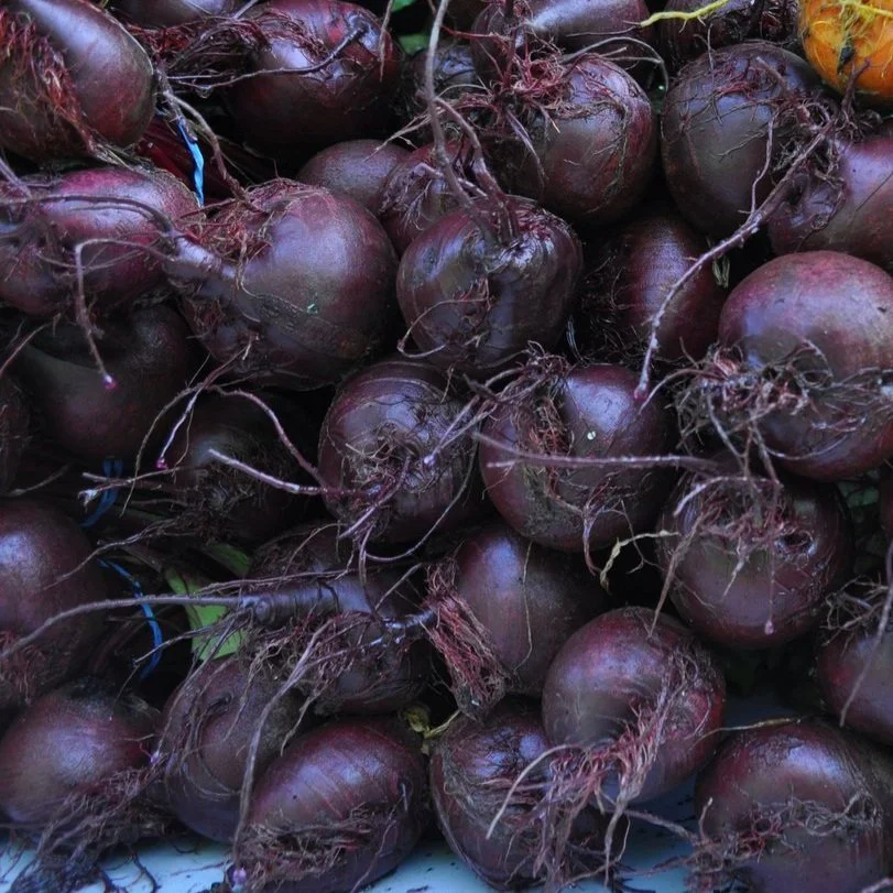 Beets.jpg