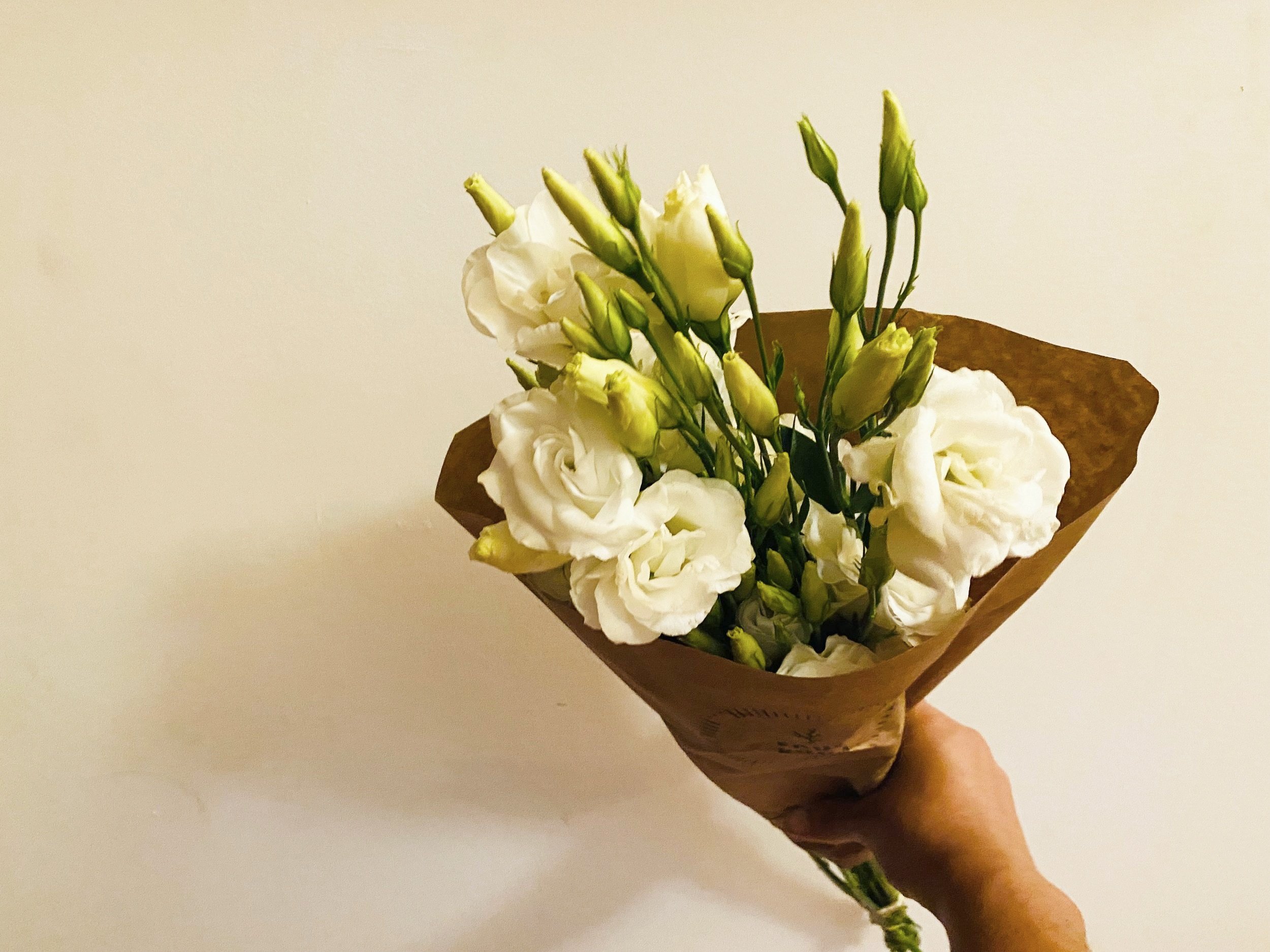 Lisianthus+white.jpg