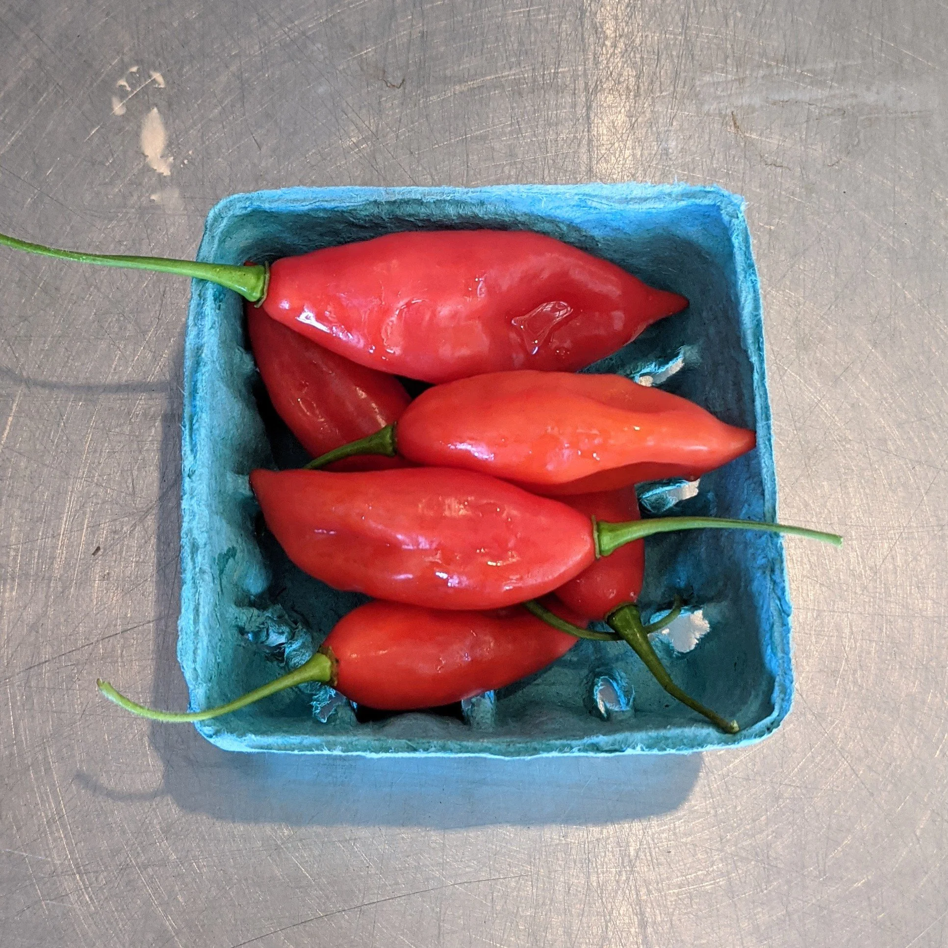 Hot peppers - HPL pint.jpg