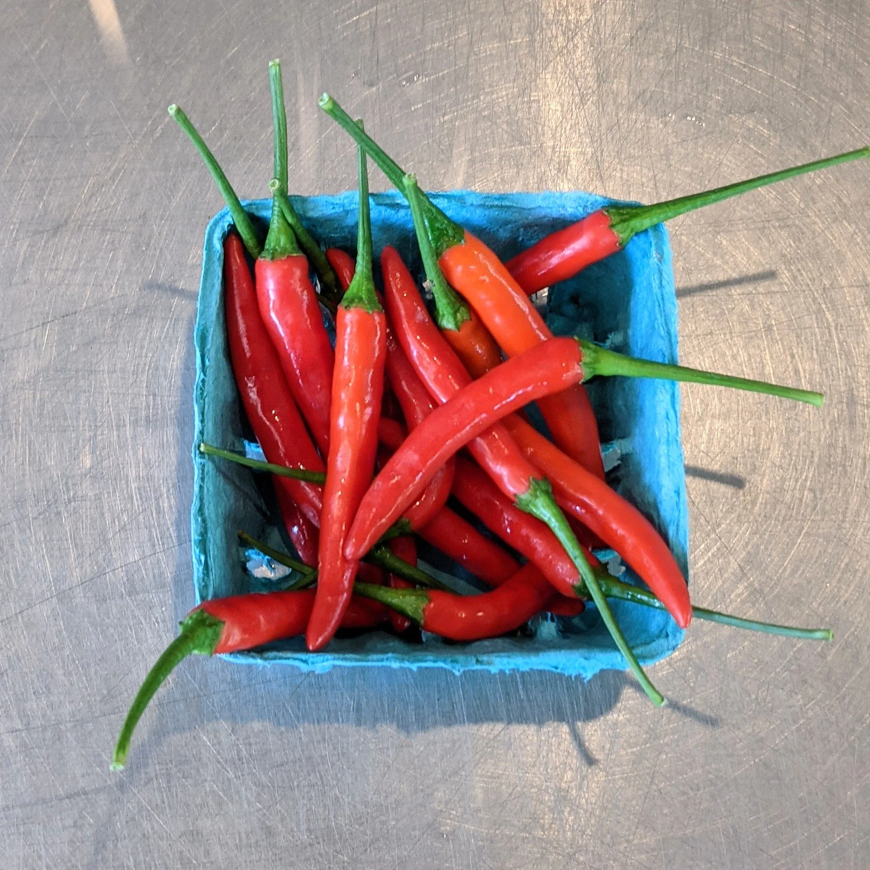 Hot Peppers - thai chili pint.jpg