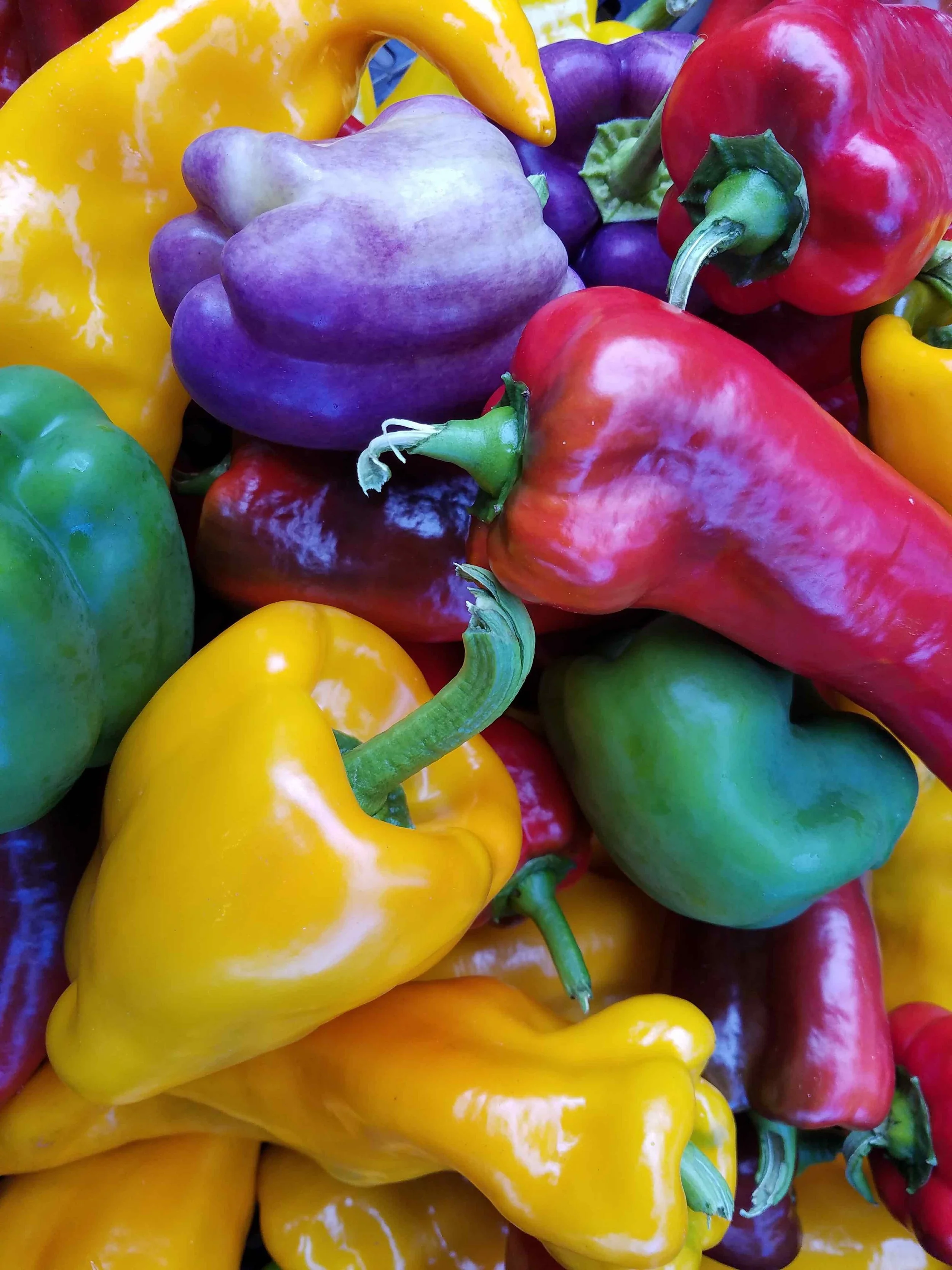 Sweet Peppers.jpg