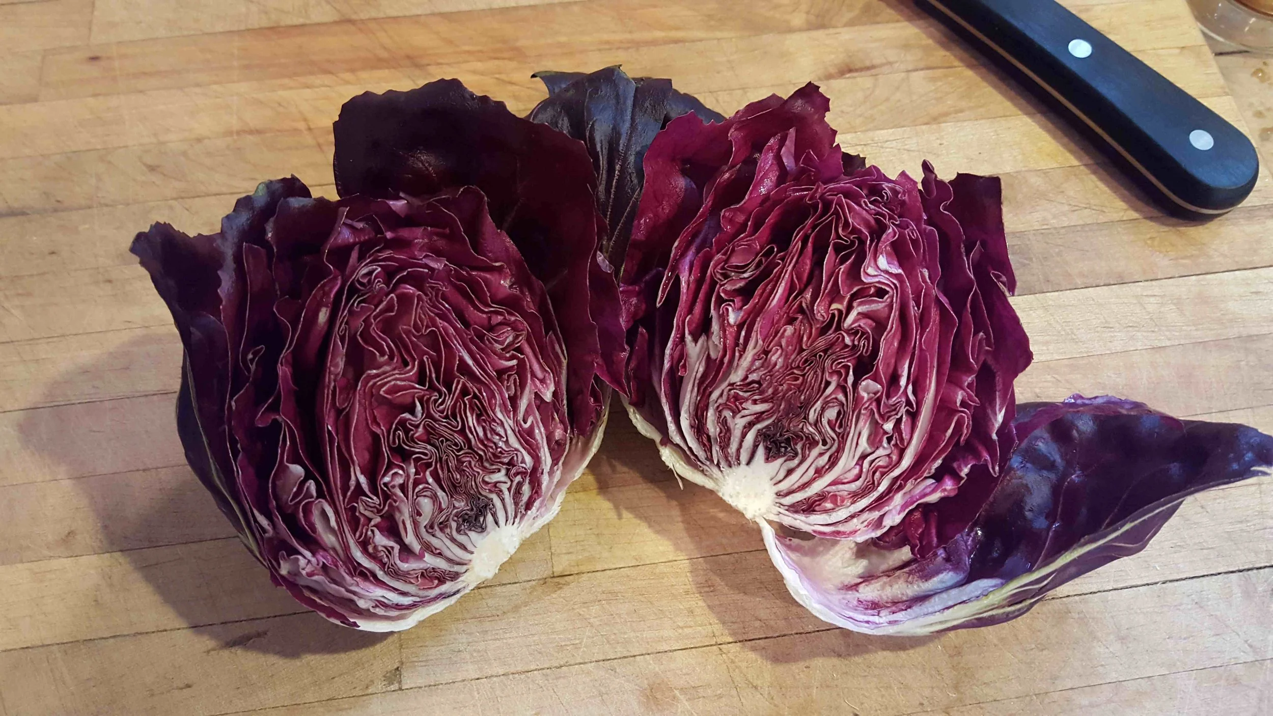 Radicchio 2.jpg