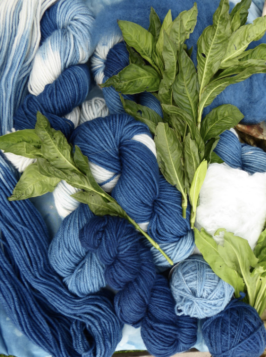 Japanese Indigo.png