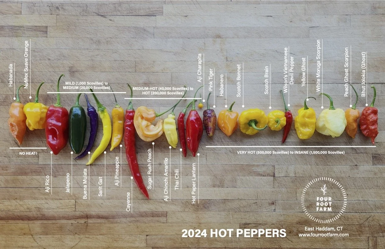 Hot Peppers 2024_02.jpg