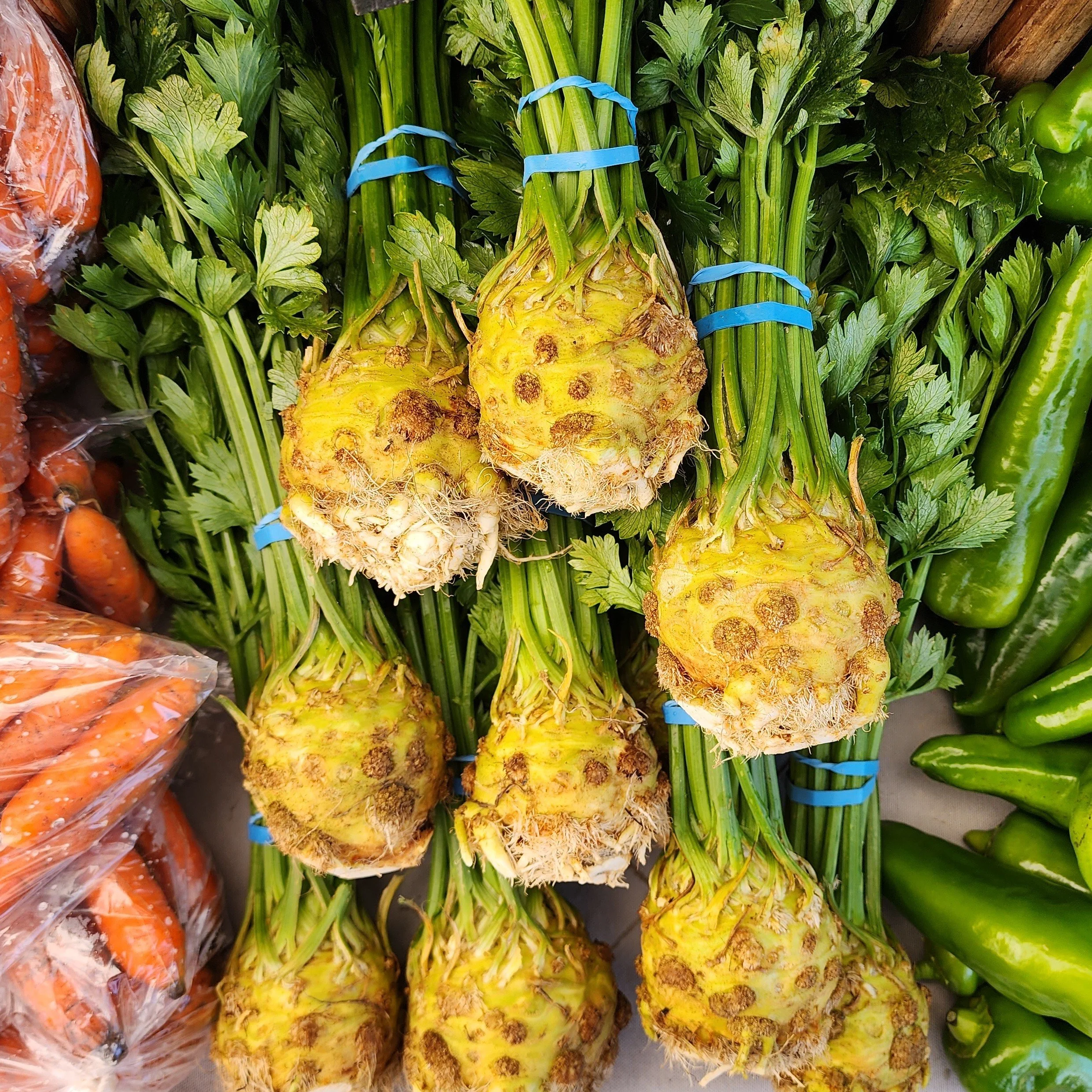 Celeriac (1).jpg