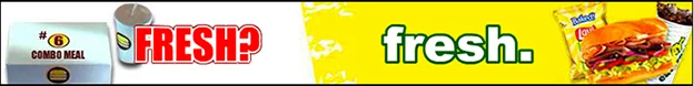 subway-flash2.jpg