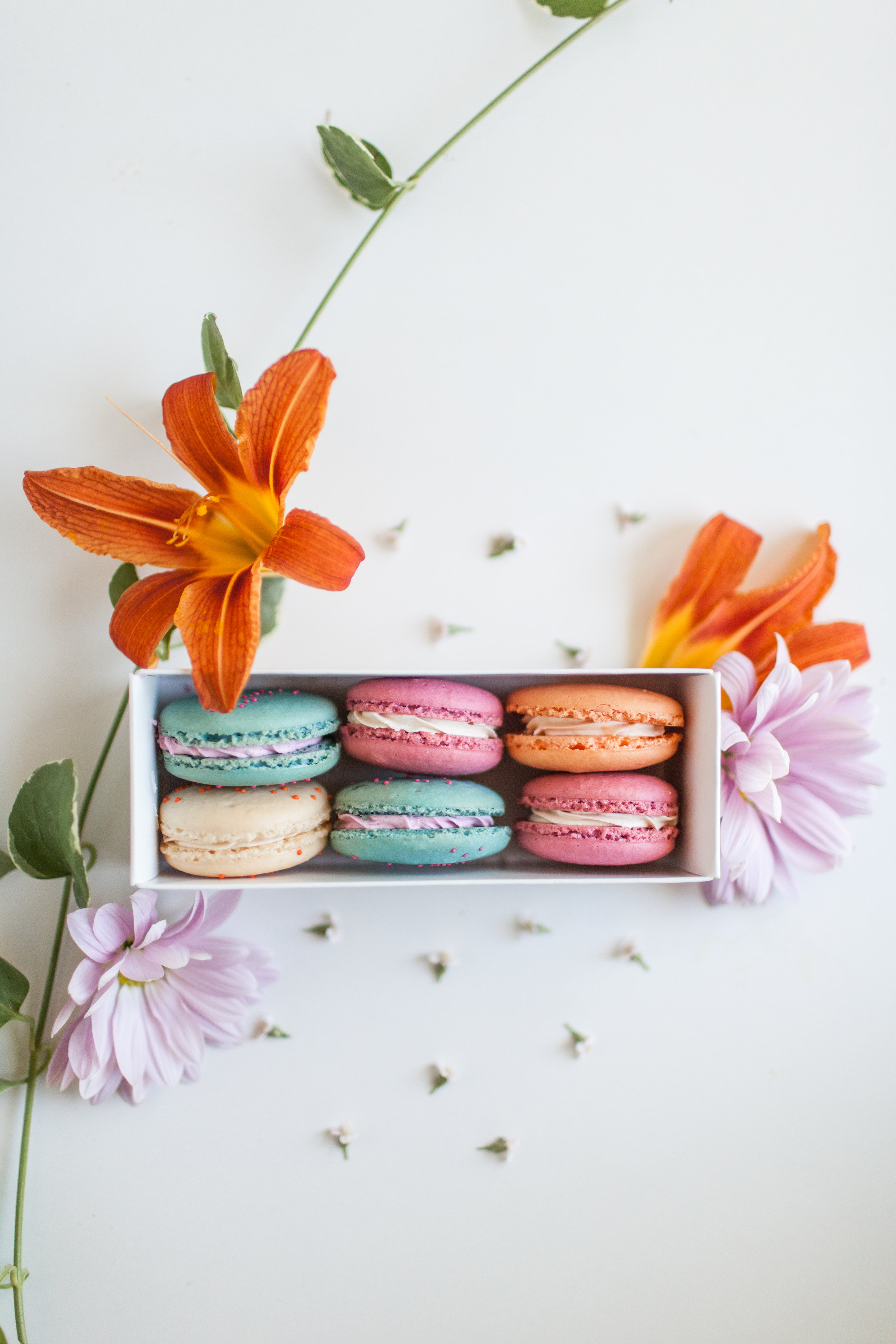 Macarons — Amy's Cupcake Shoppe