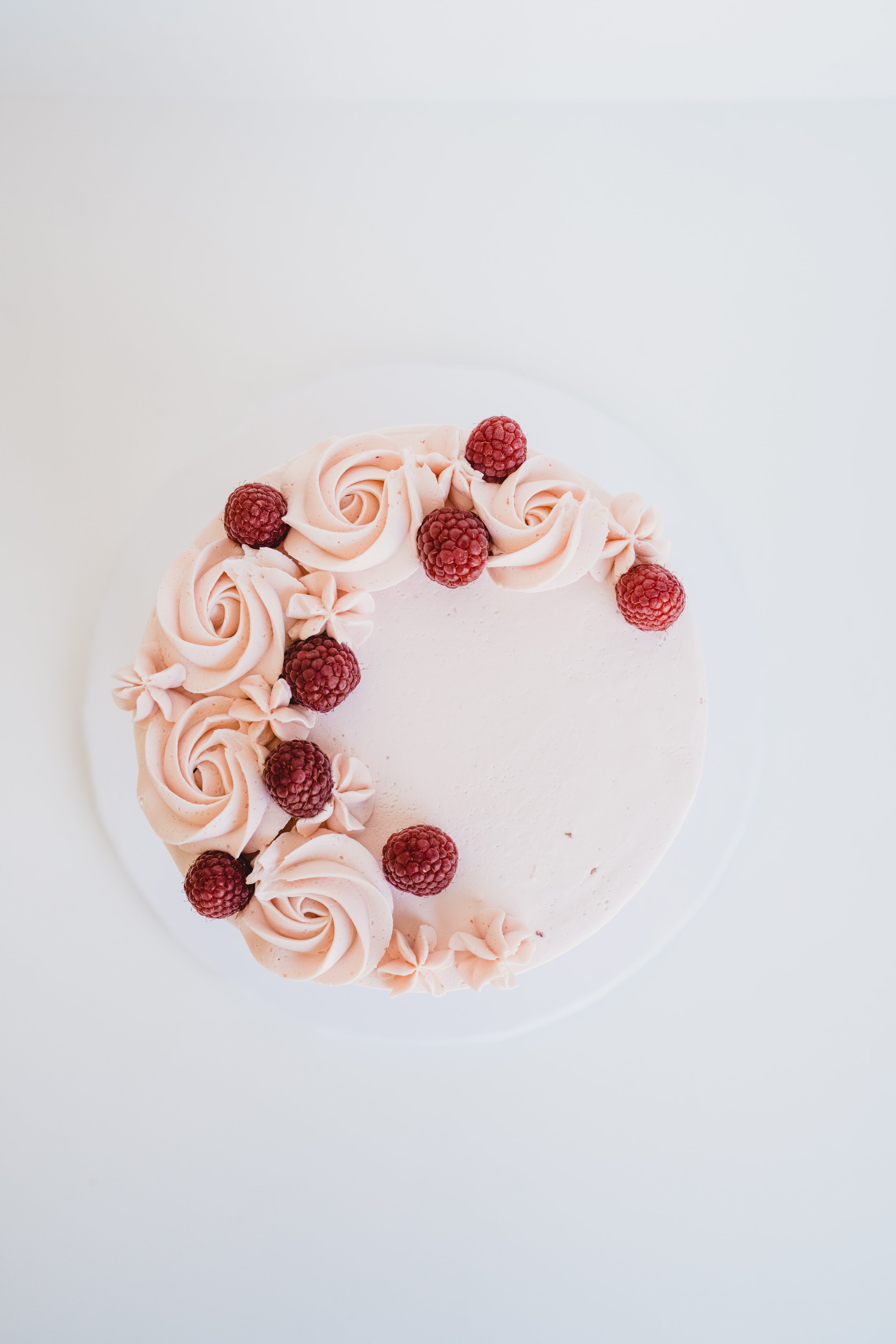 engle-olson-acs-raspberry-cake- (5 of 9).jpg