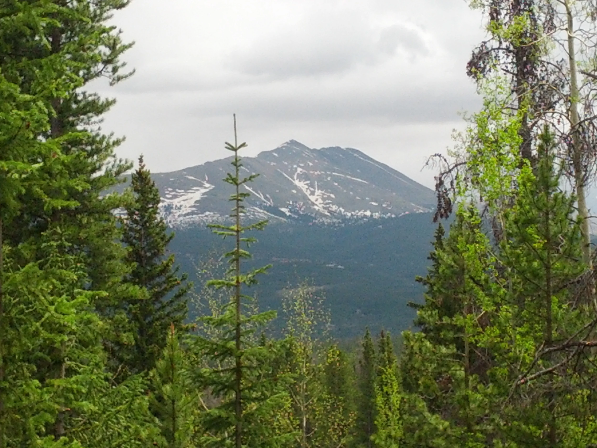 IMG_20140611_124409.jpg