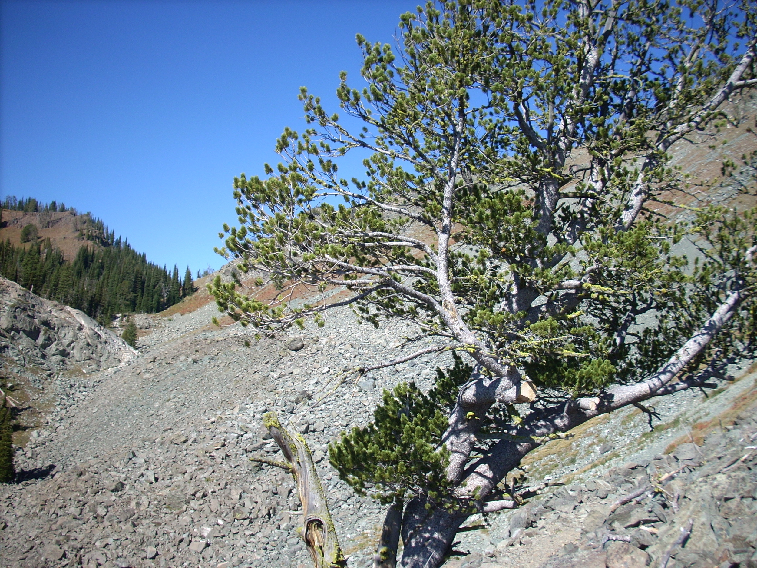 Seven Devils 017.JPG