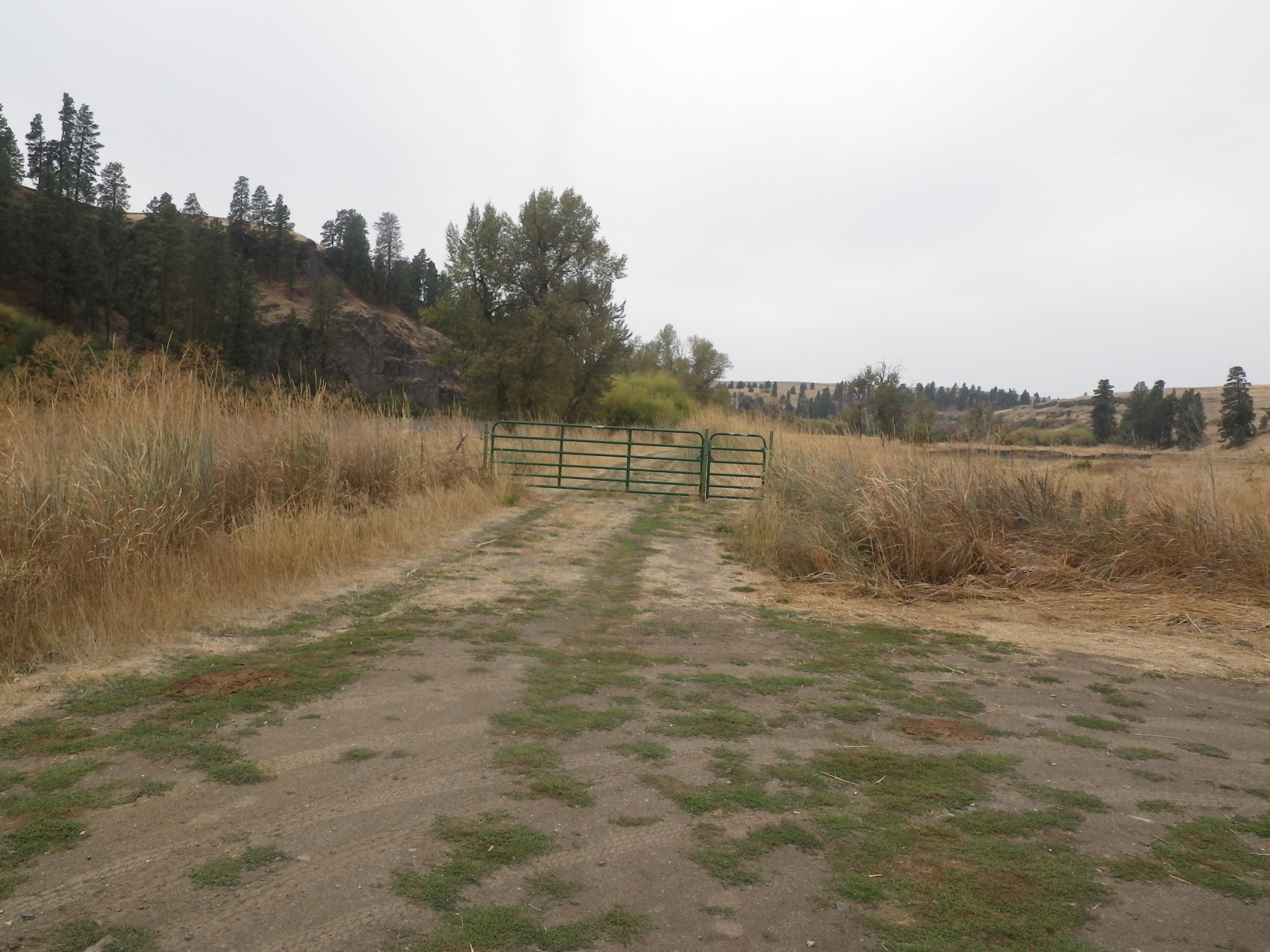 The first gate and the trail beyond. Parking is to the right. It's wide enough to pull a U-turn or fit multiple vehicles.