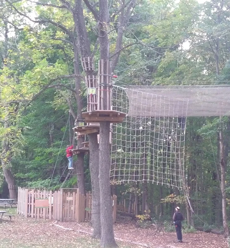 Joe, watching the ascent. The person in the picture crossed a zipline,, completed a second into the net, and then climbed tot he platform with the rope bridge.
