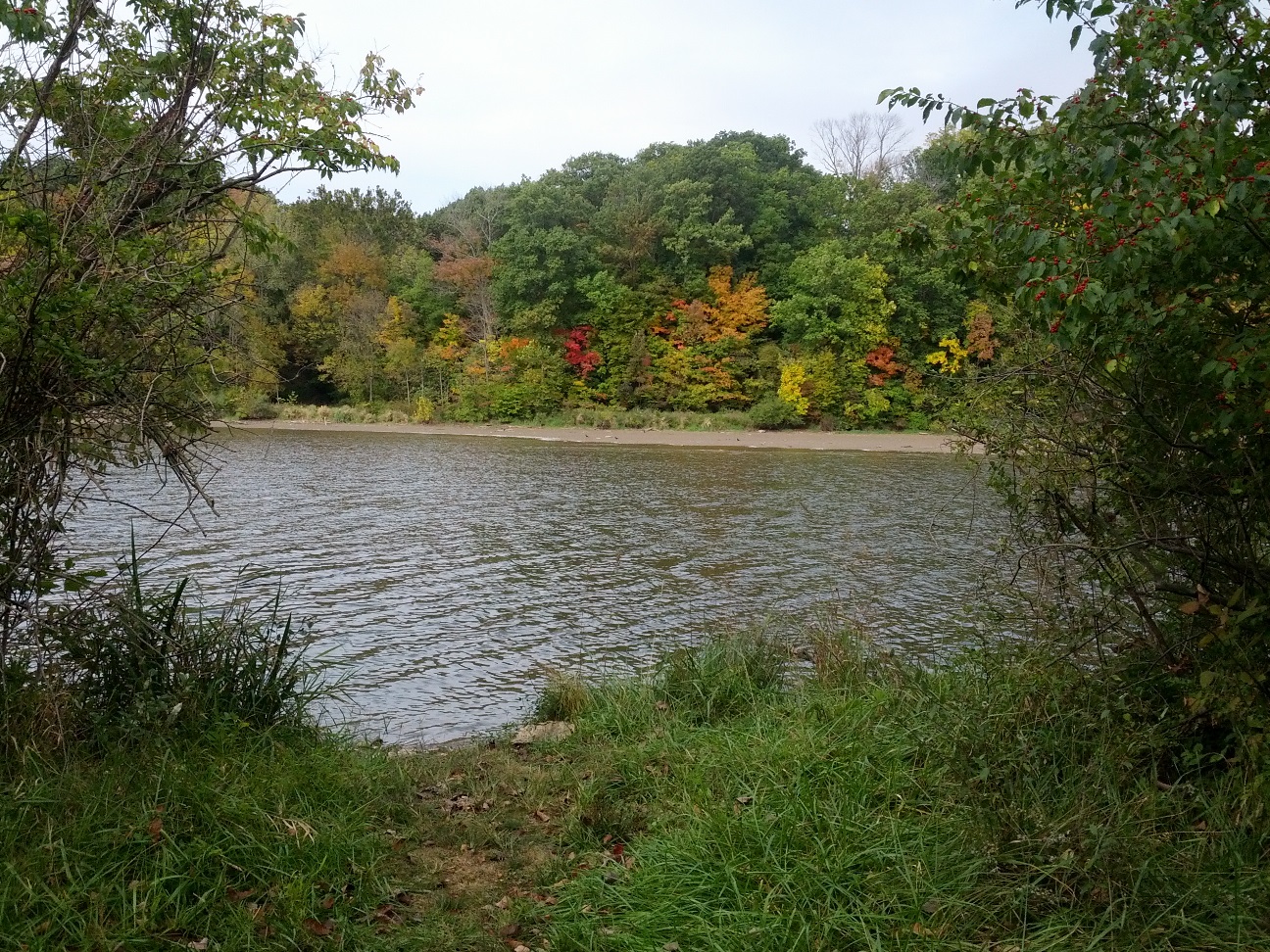 The first hints of the fall season, glimpsed across the lake.