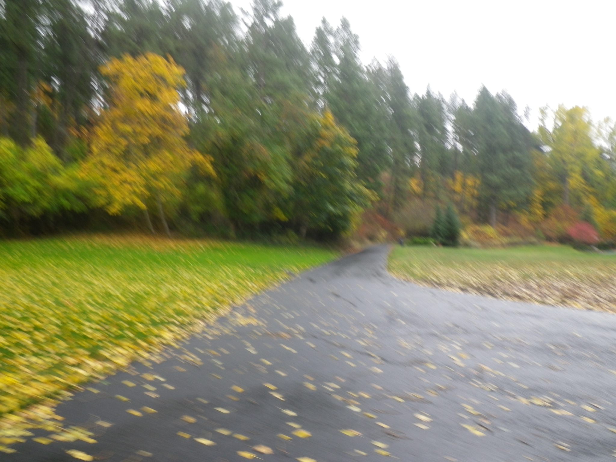 After about half a mile of downhill running, I bottomed out in another residential section. I might have to knock off a bank or two, but I wouldn't mind living here. I need to slow down more when taking pictures.