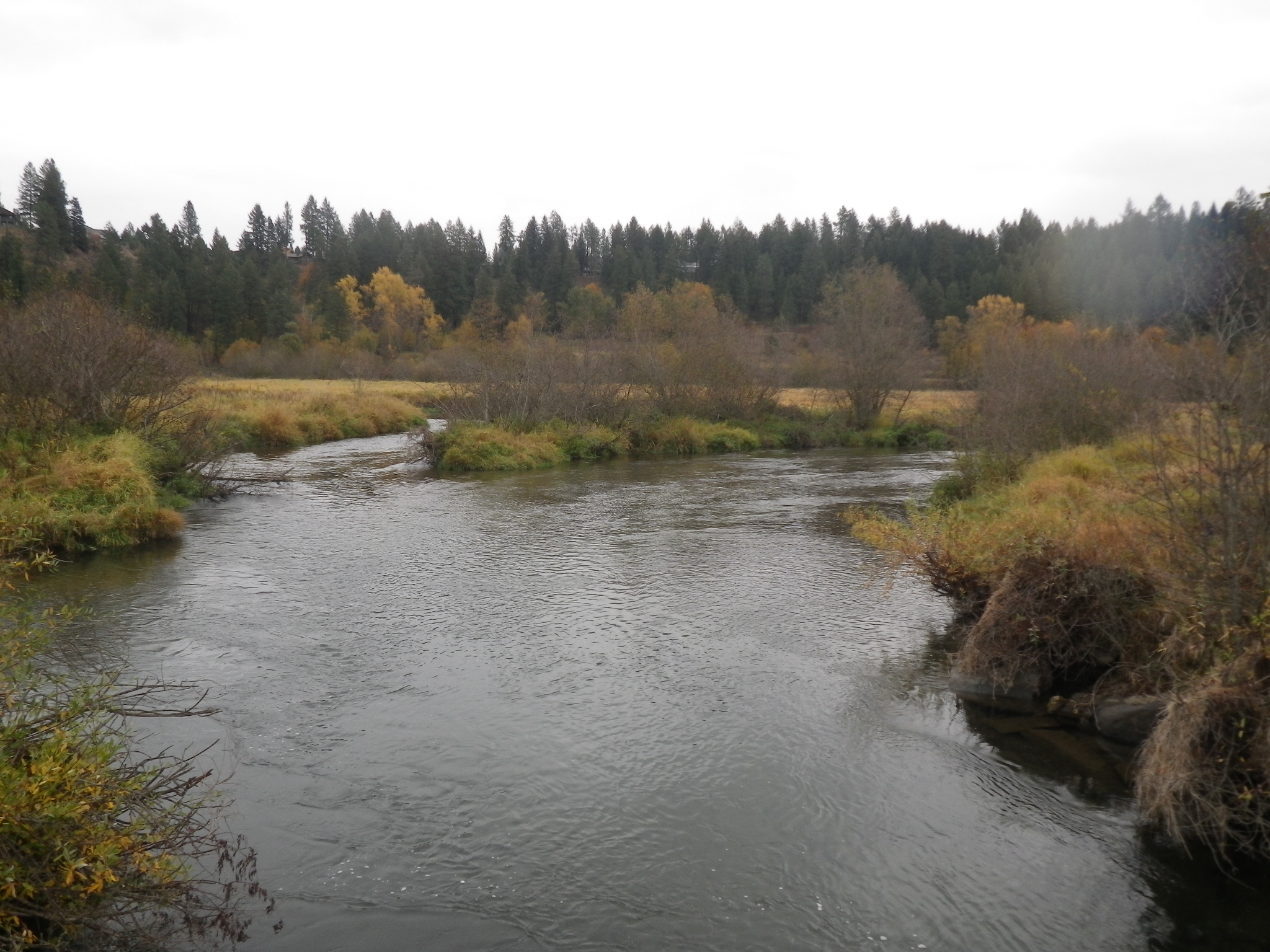 There's a pretty little bridge to cross. Sidetracked by the views.