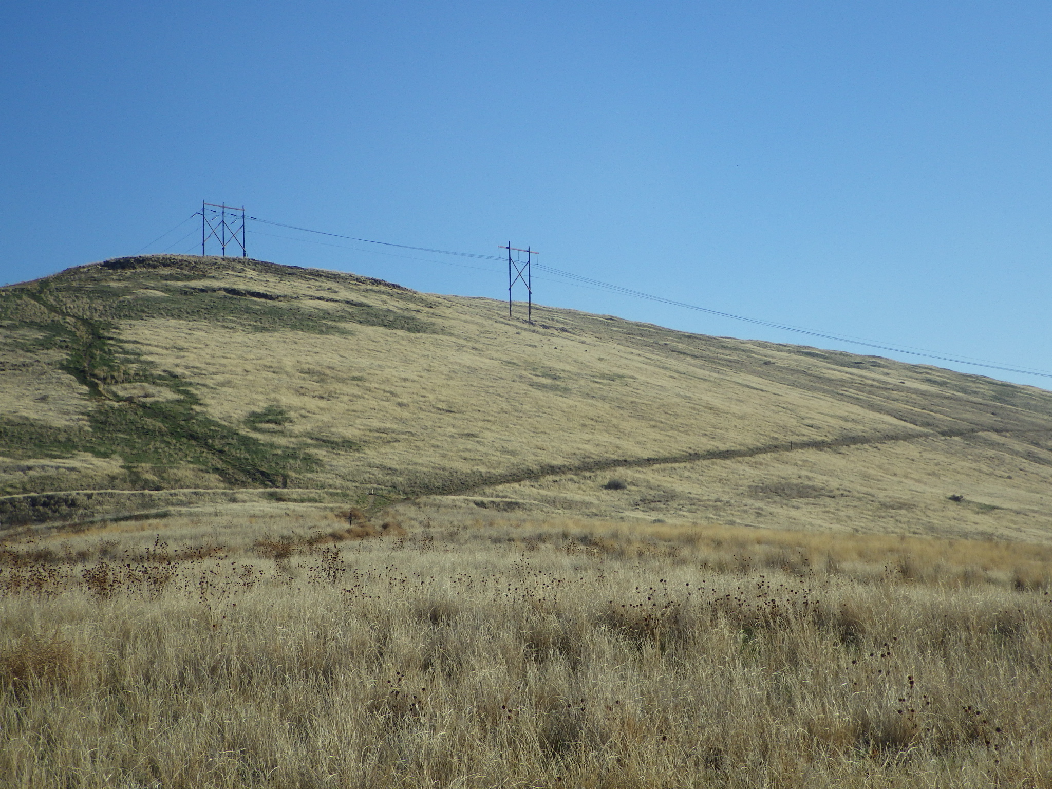 The single track to the left runs at about a 30 degree slope.