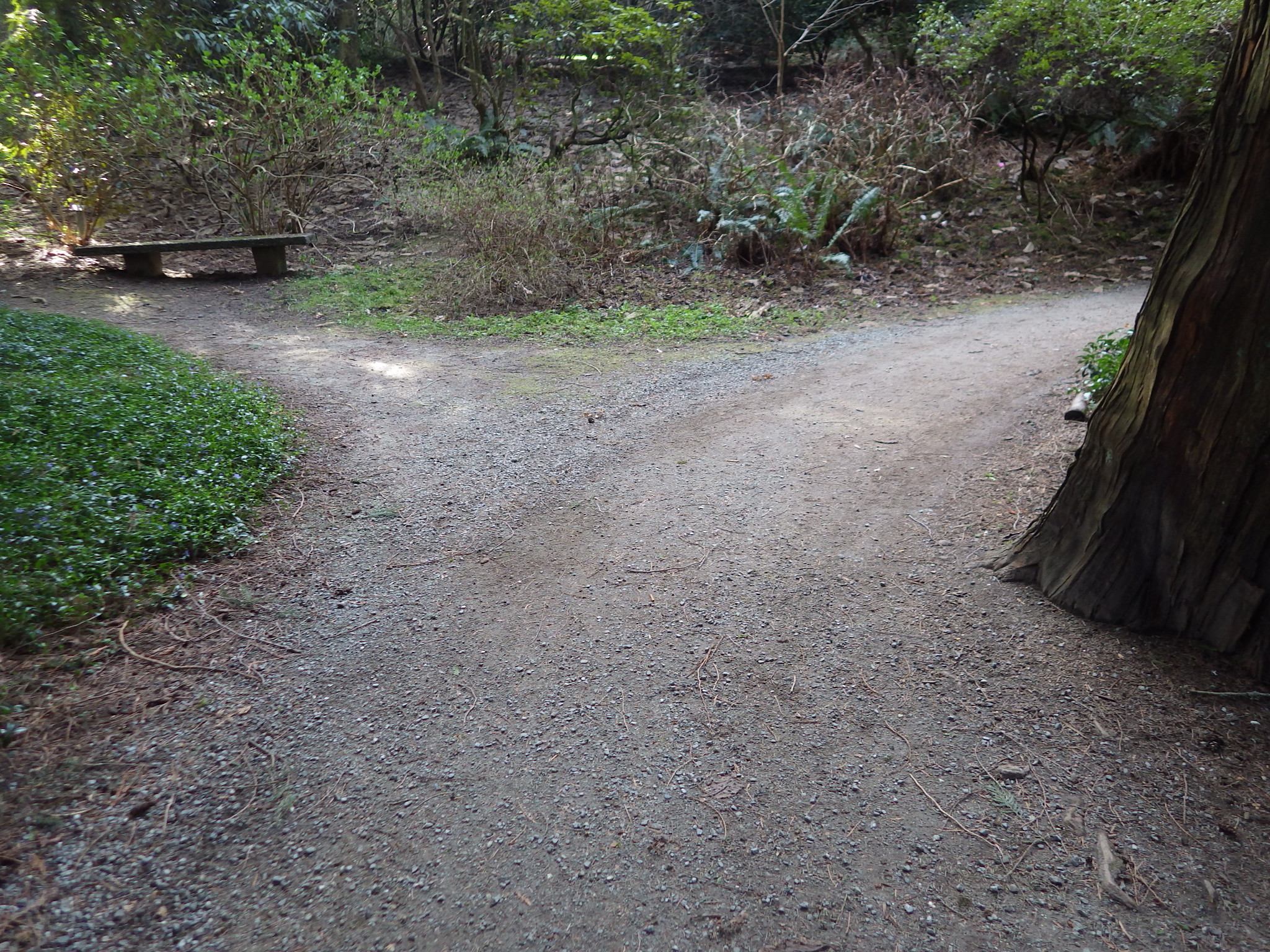 When in doubt, grab the single track. . .