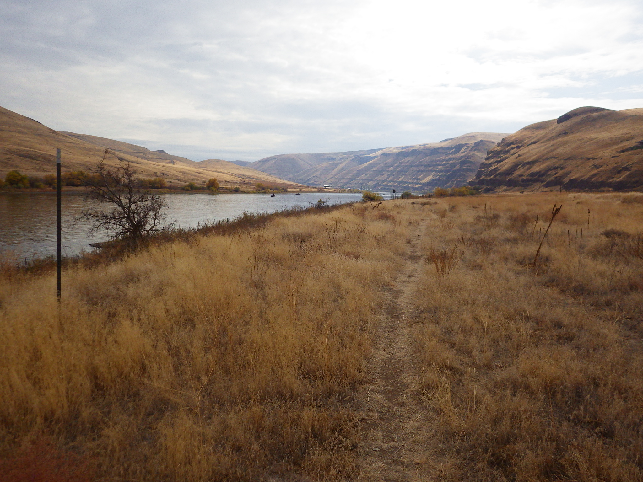 Looking up the Snake River from the SE corner of Asotin. Hells Canyon lay that direction, the deepest step canyon in North America.